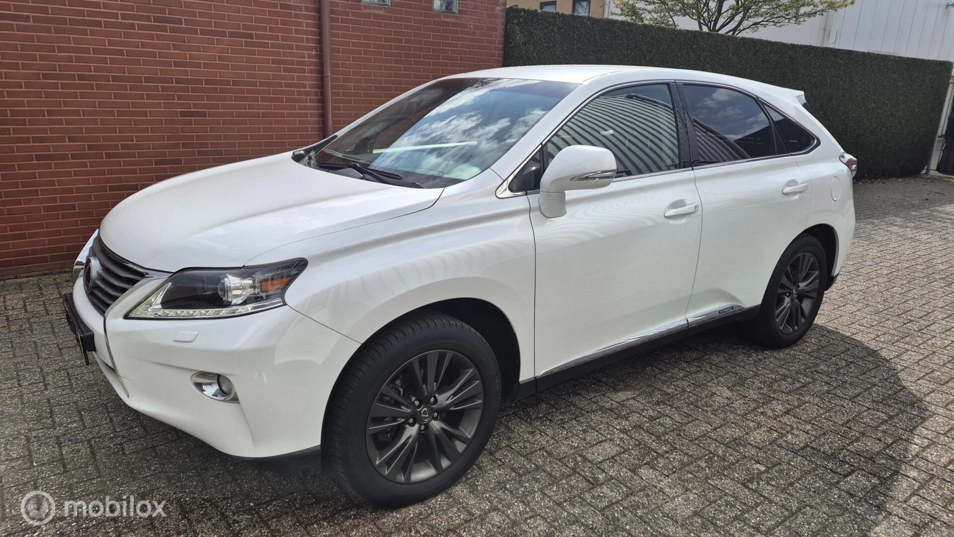 Hoofdafbeelding Lexus RX