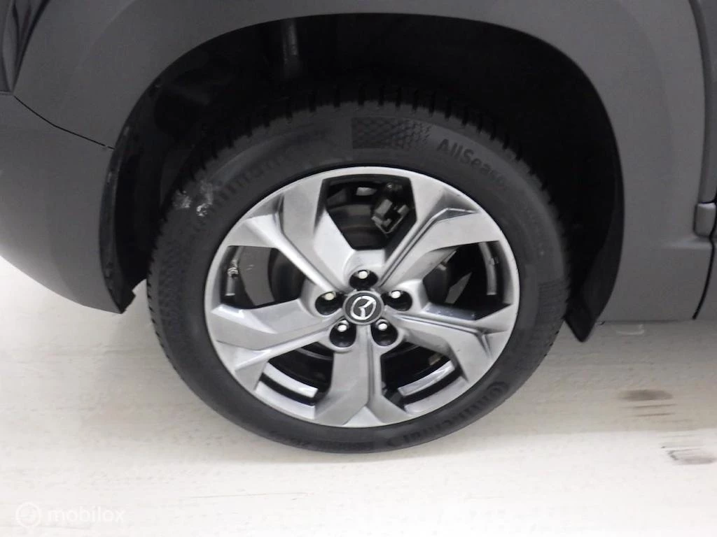 Hoofdafbeelding Mazda MX-30