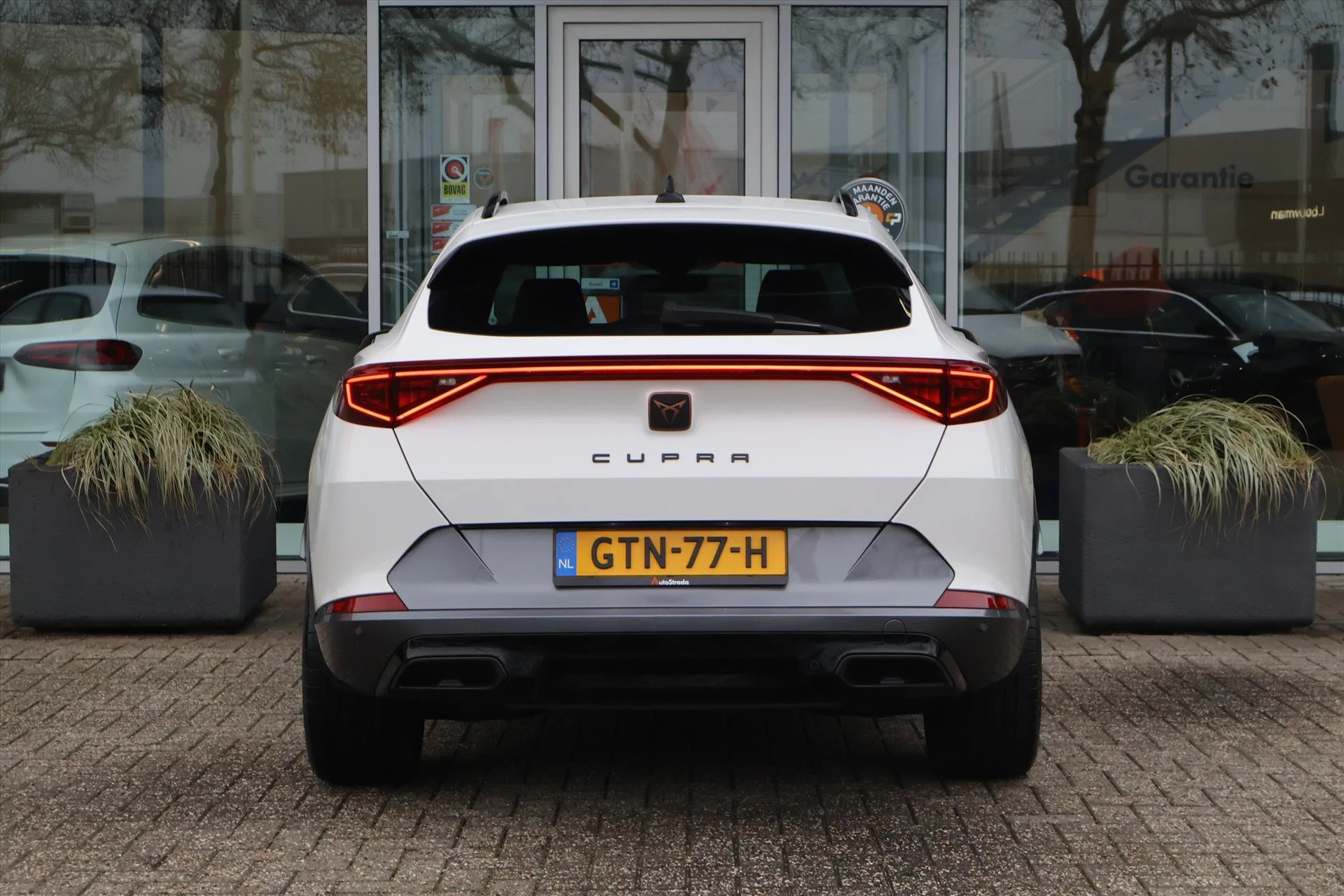 Hoofdafbeelding CUPRA Formentor