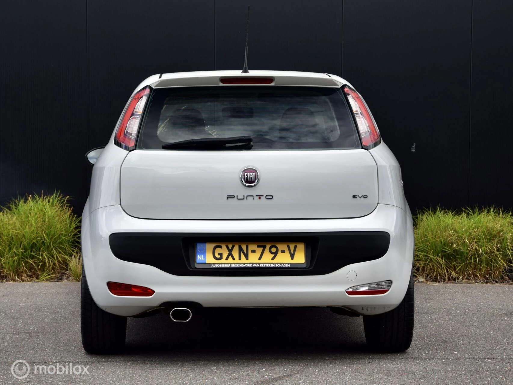 Hoofdafbeelding Fiat Punto