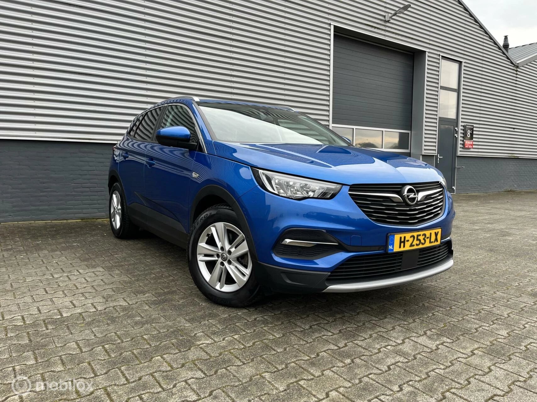 Hoofdafbeelding Opel Grandland X