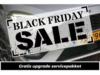 Ford Fiesta 1.0 EcoBoost ST-Line - Moondust Grey - Lekker Sportief!