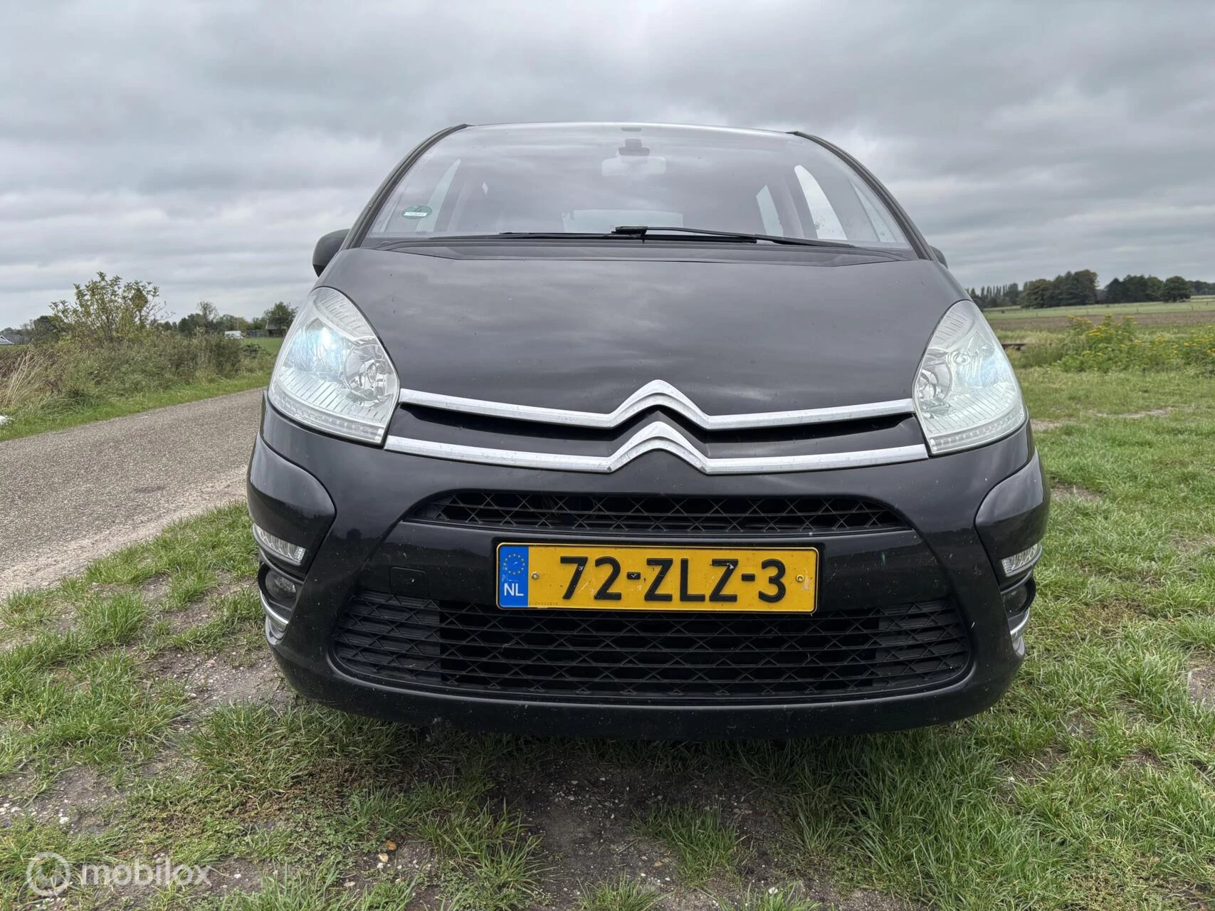 Hoofdafbeelding Citroën C4 Picasso