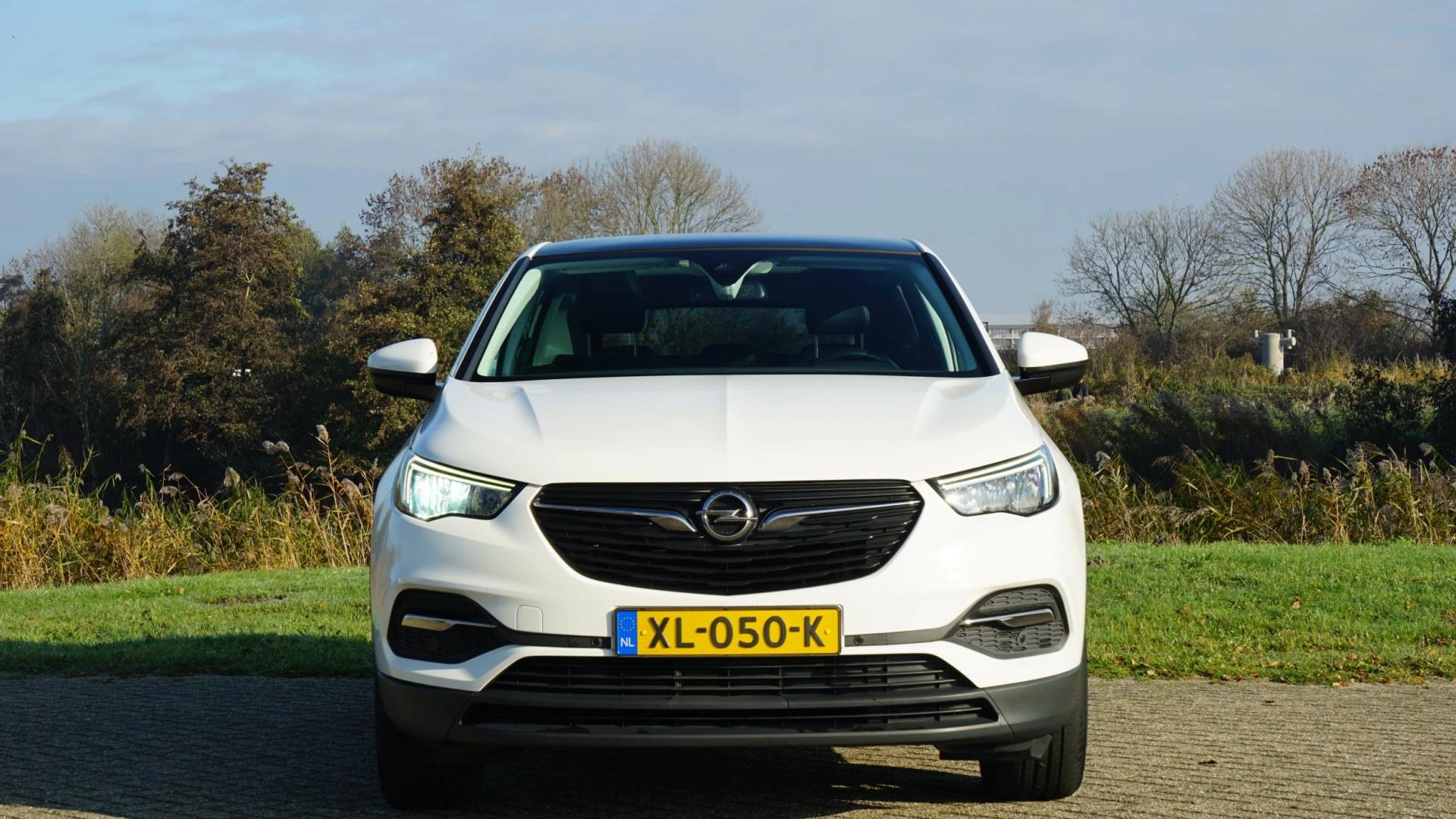 Hoofdafbeelding Opel Grandland X