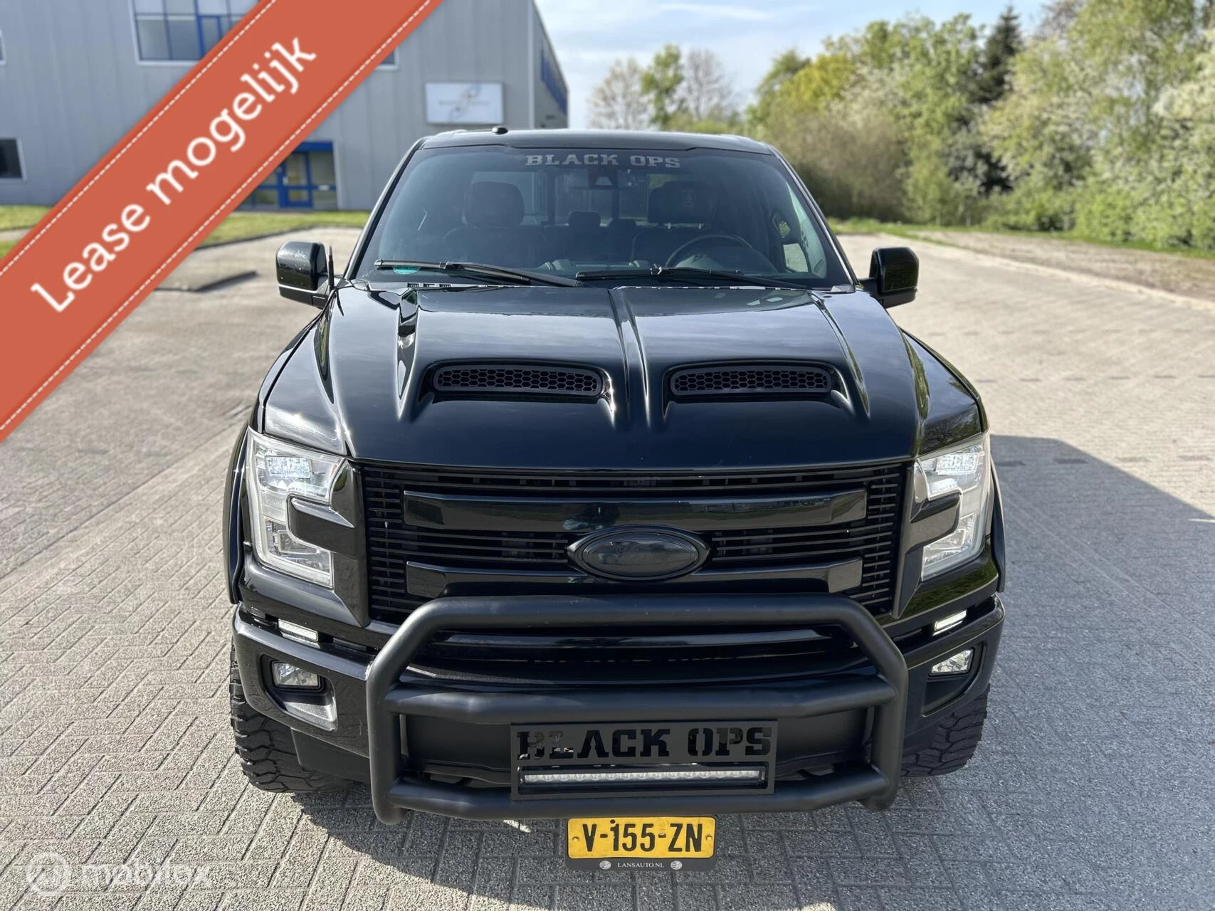 Hoofdafbeelding Ford F-150