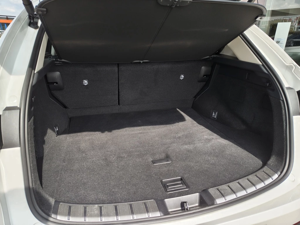 Hoofdafbeelding Lexus NX