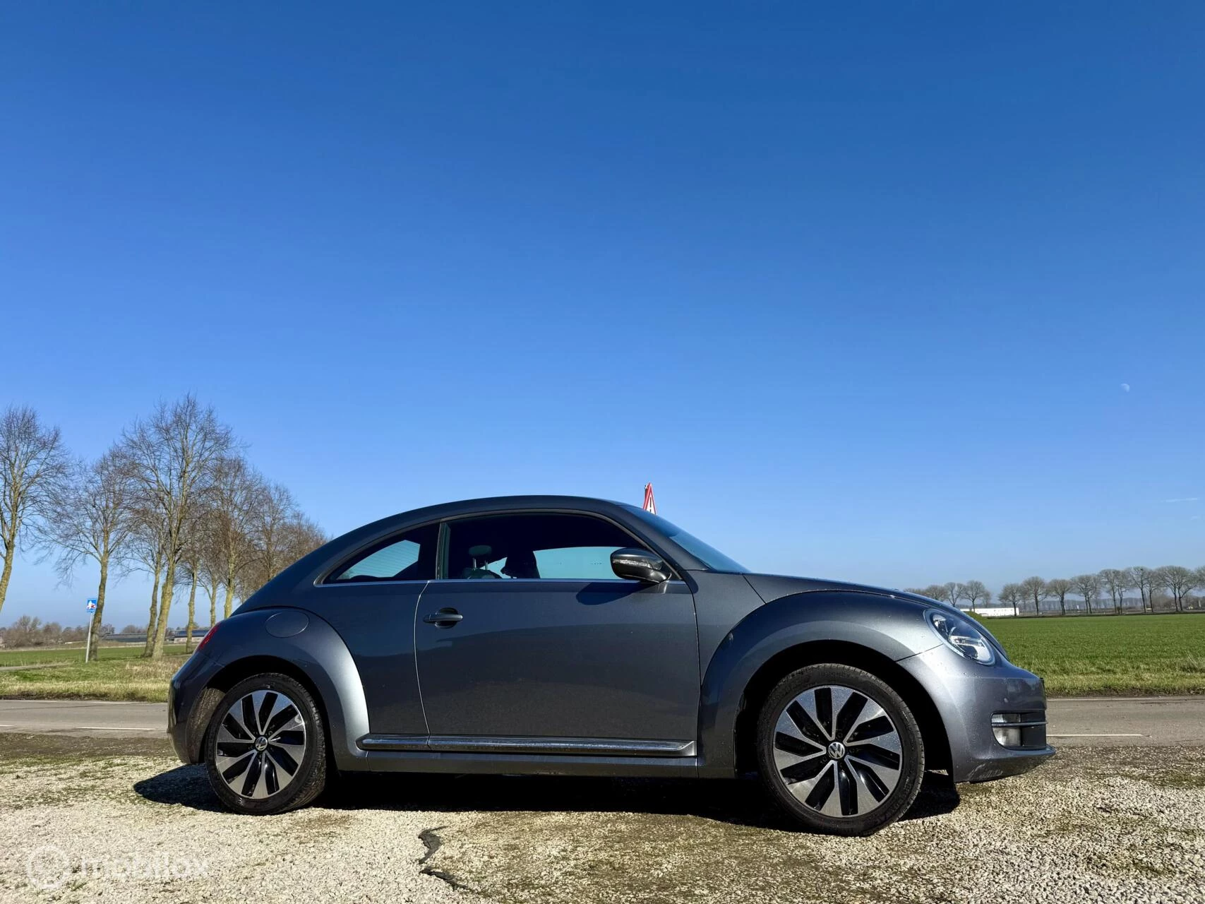 Hoofdafbeelding Volkswagen Beetle