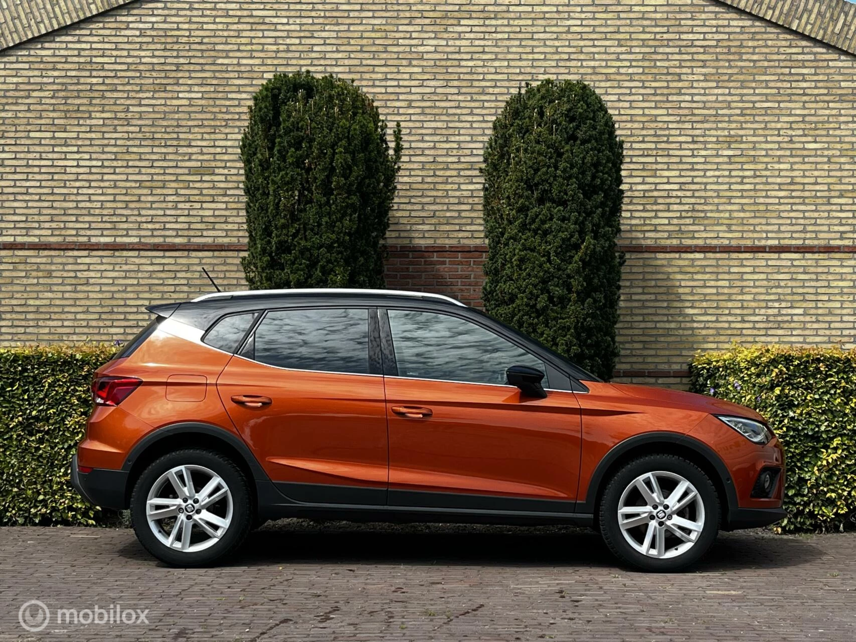 Hoofdafbeelding SEAT Arona