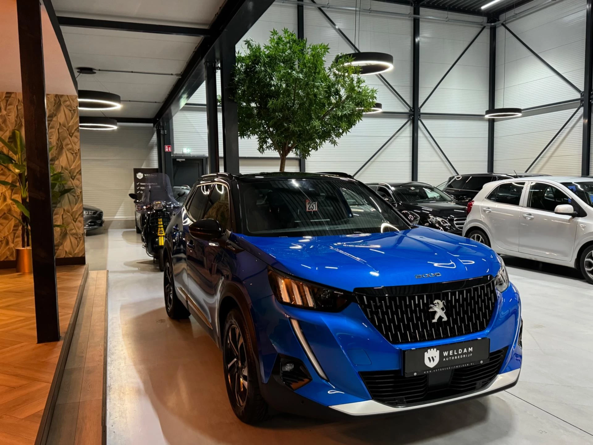 Hoofdafbeelding Peugeot 2008