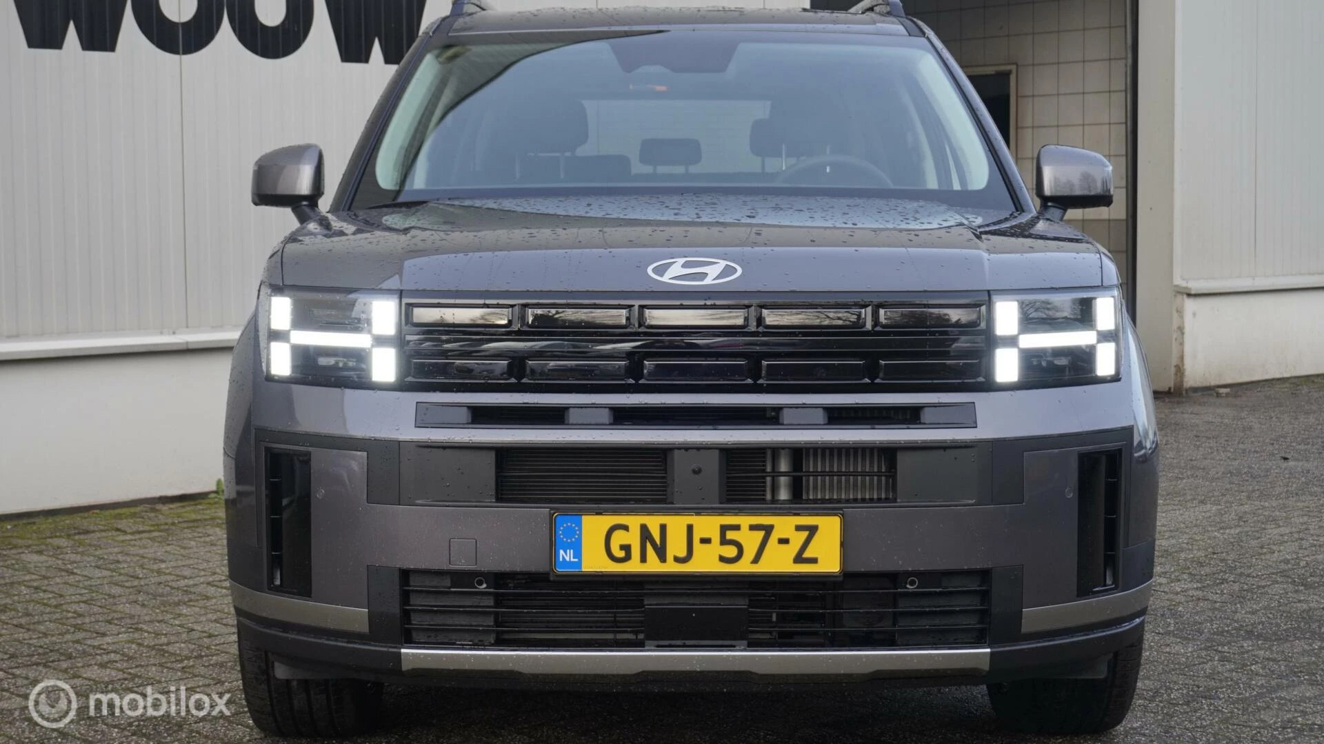 Hoofdafbeelding Hyundai Santa Fe