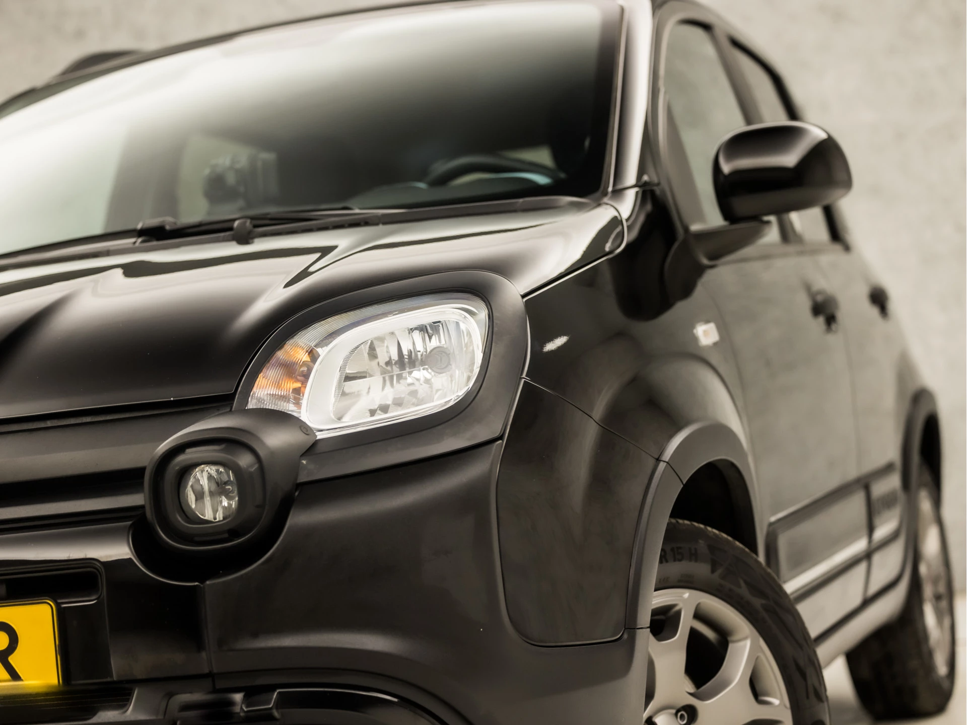 Hoofdafbeelding Fiat Panda