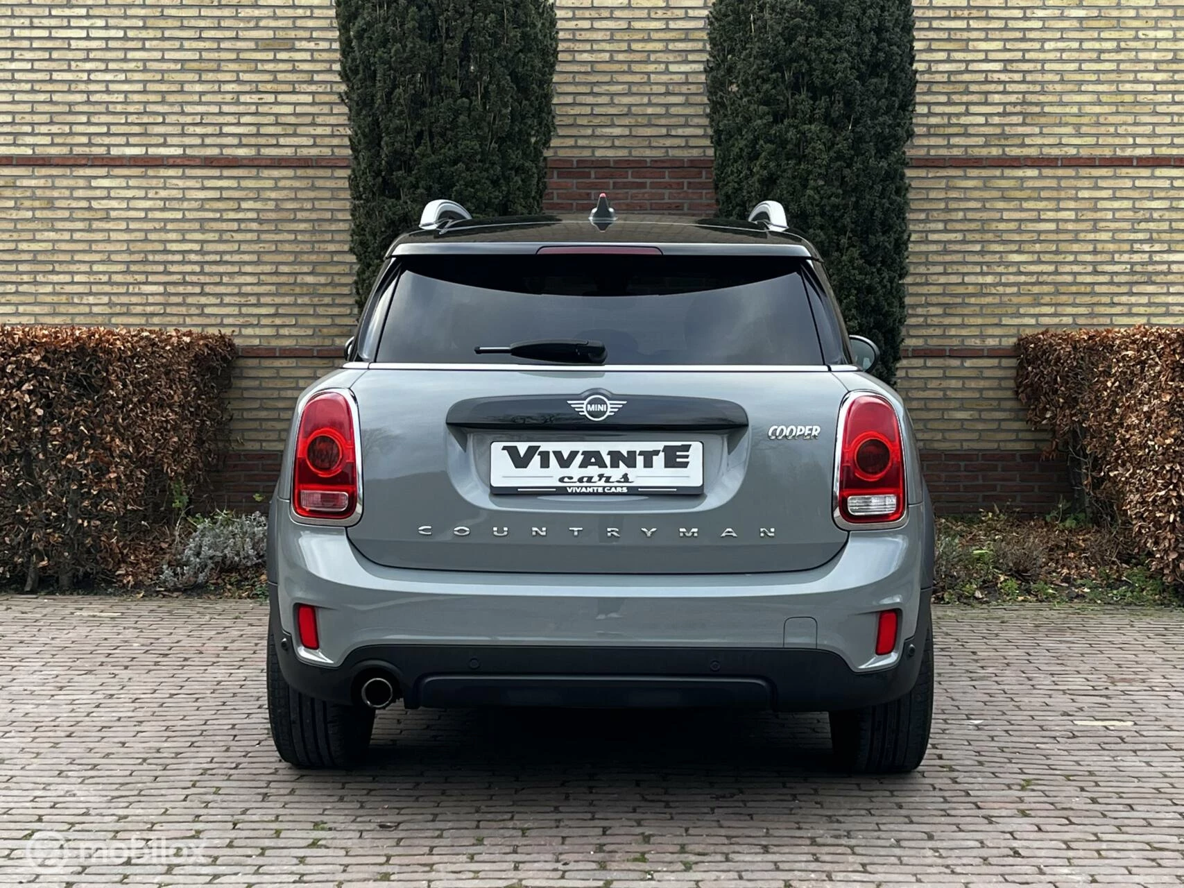 Hoofdafbeelding MINI Countryman