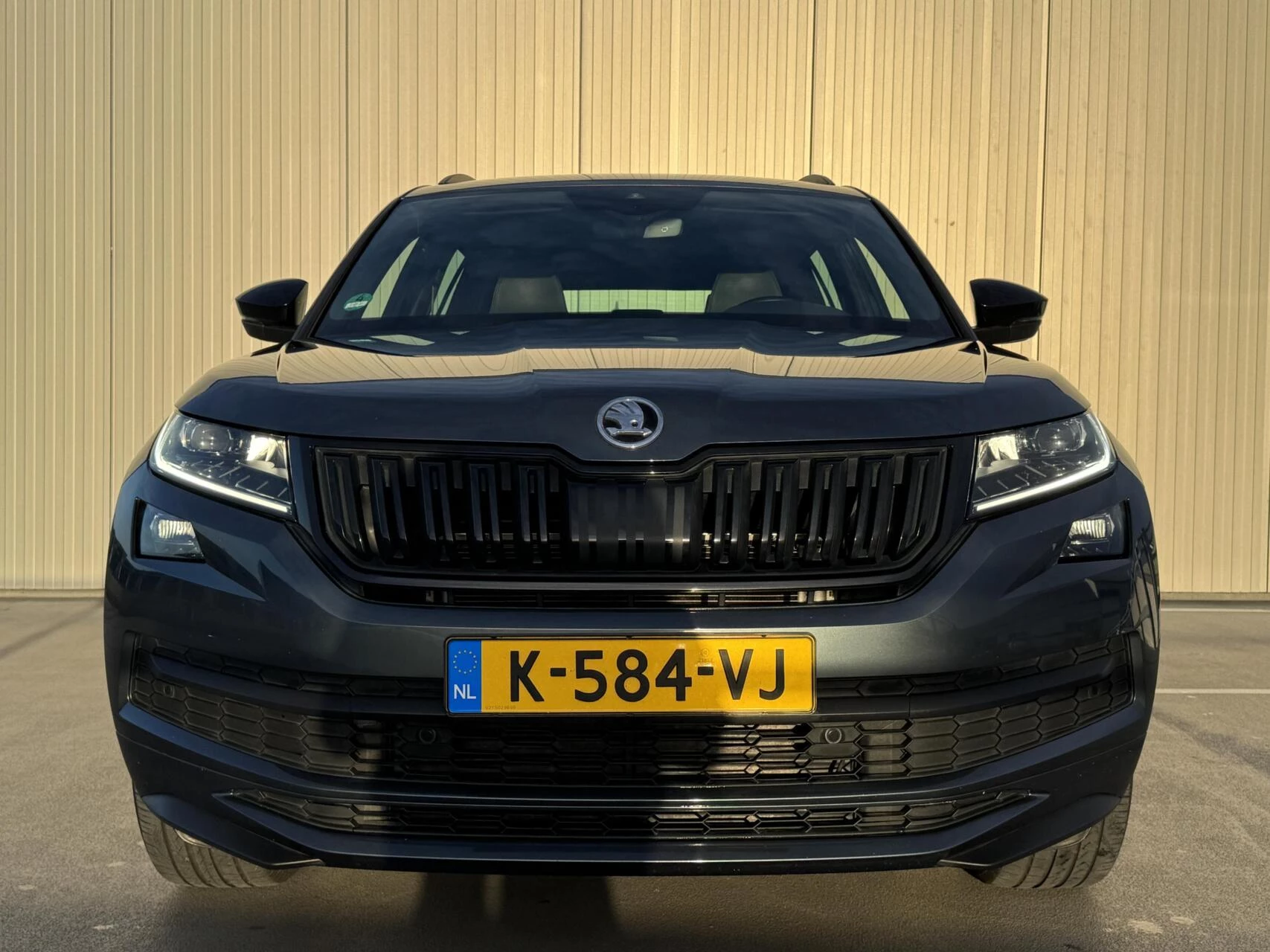 Hoofdafbeelding Škoda Kodiaq