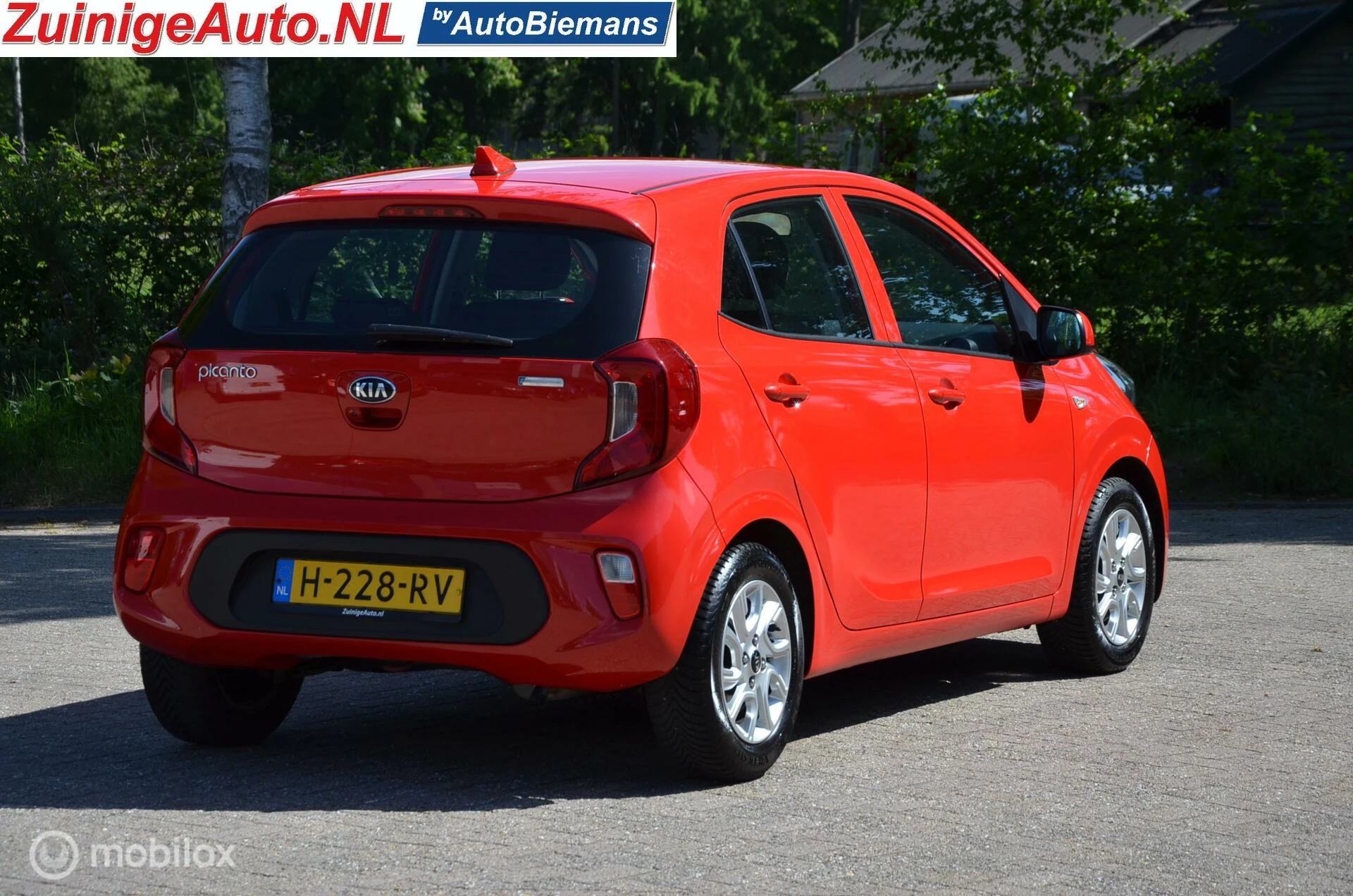 Hoofdafbeelding Kia Picanto