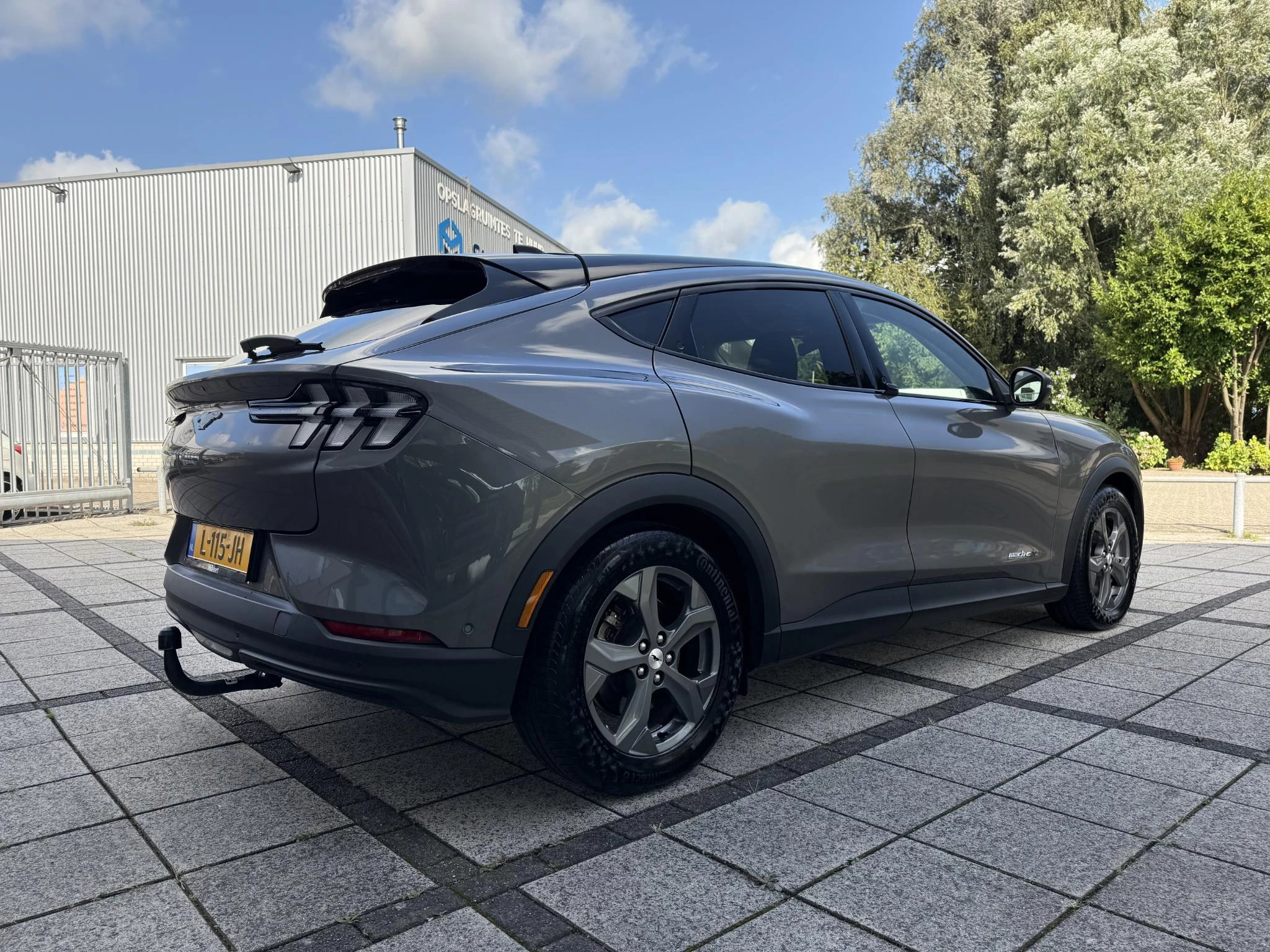 Hoofdafbeelding Ford Mustang Mach-E