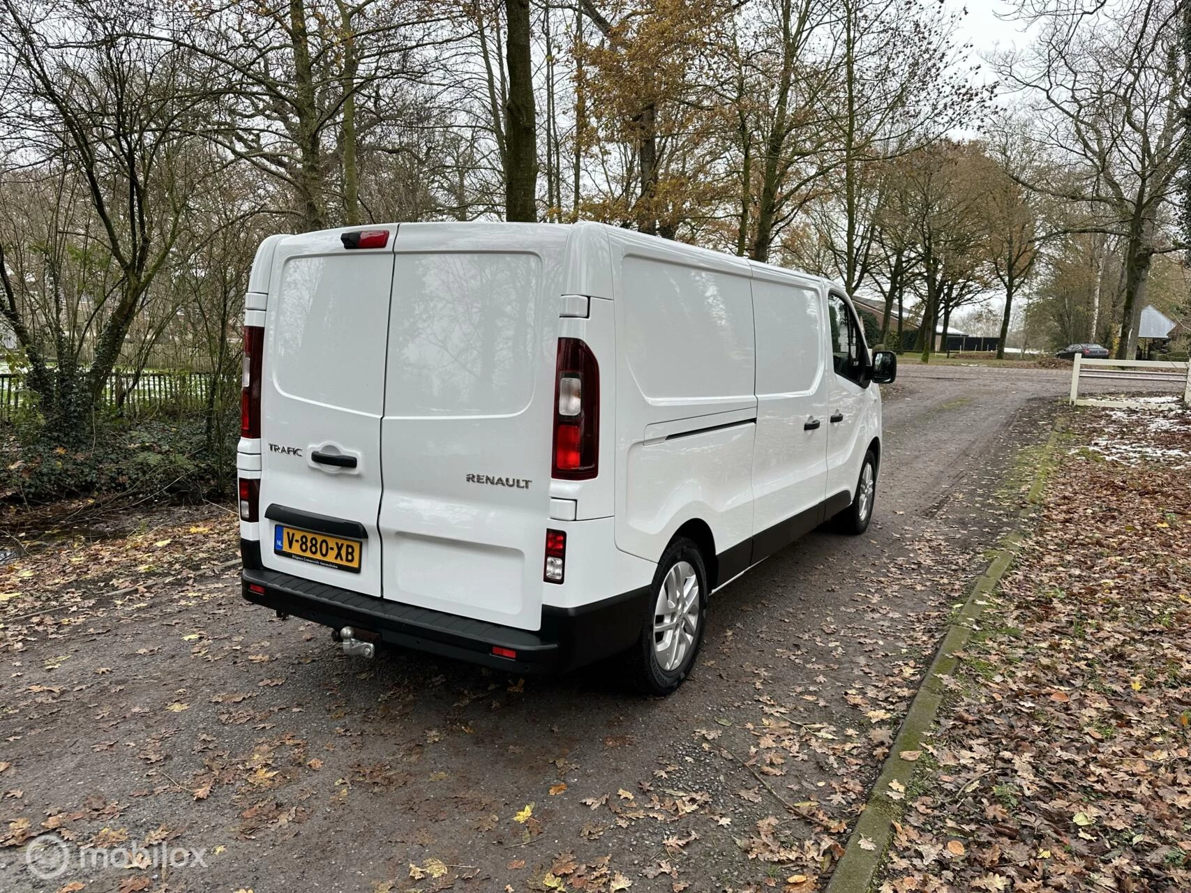 Hoofdafbeelding Renault Trafic