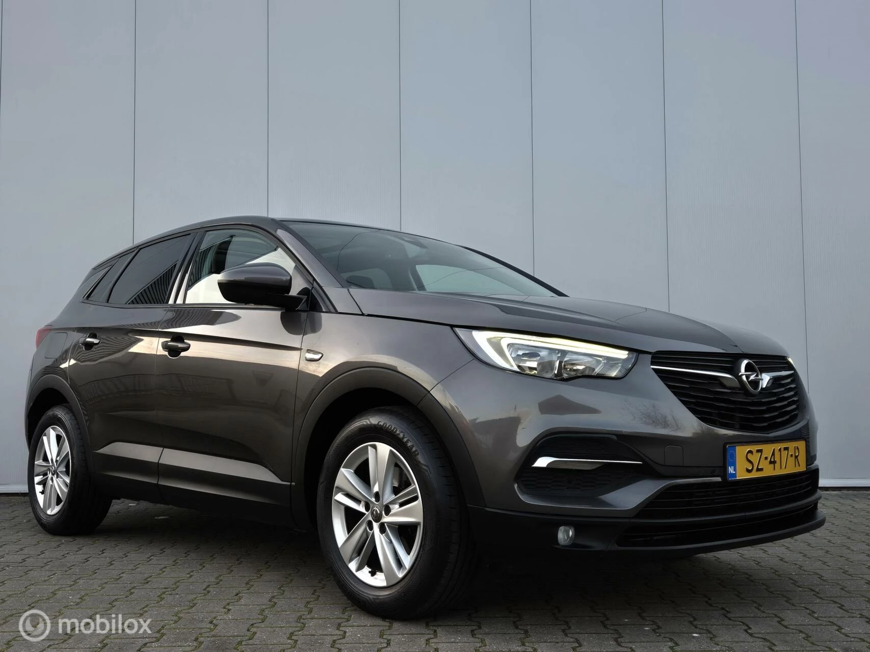 Hoofdafbeelding Opel Grandland X