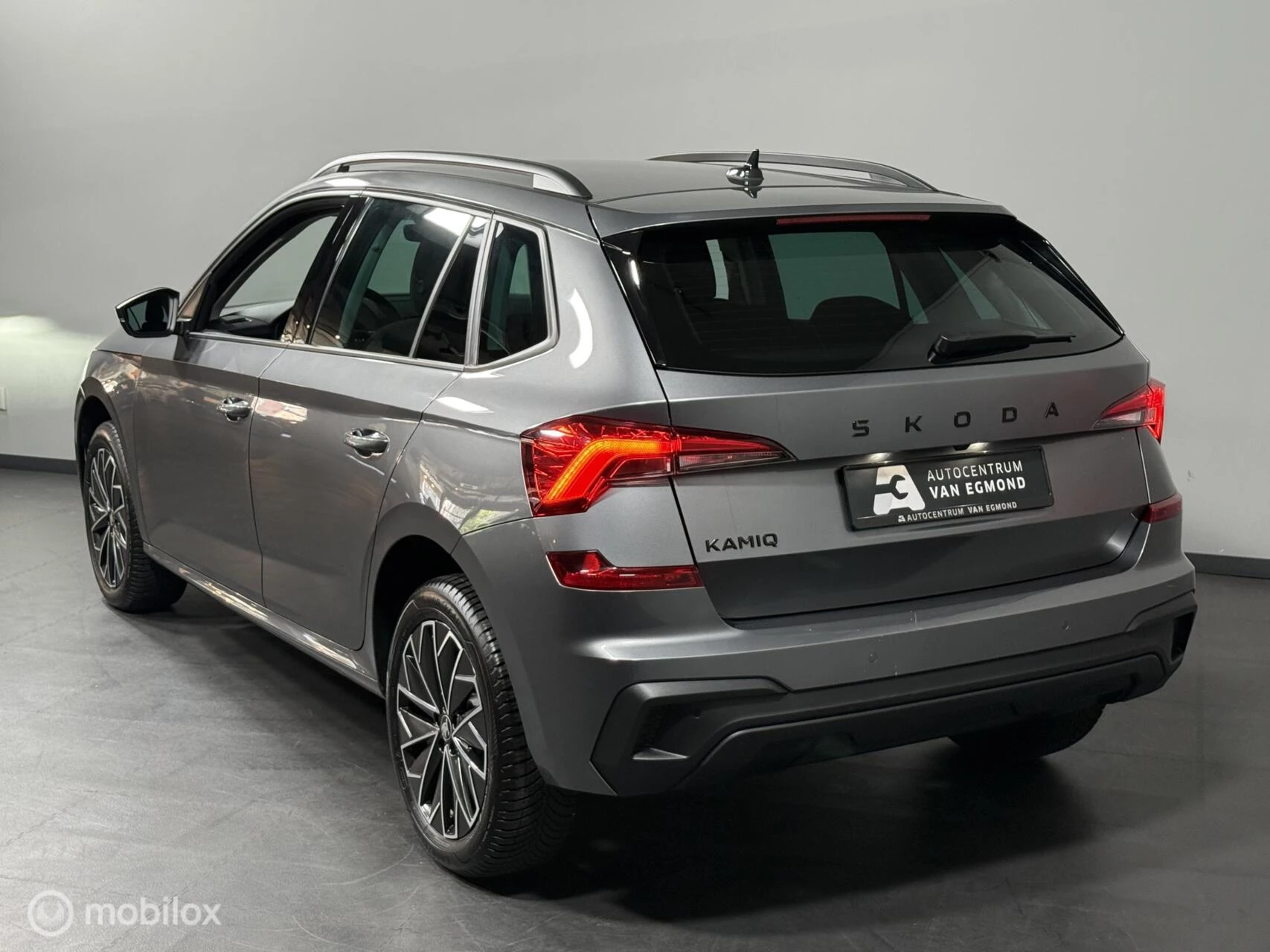 Hoofdafbeelding Škoda Kamiq