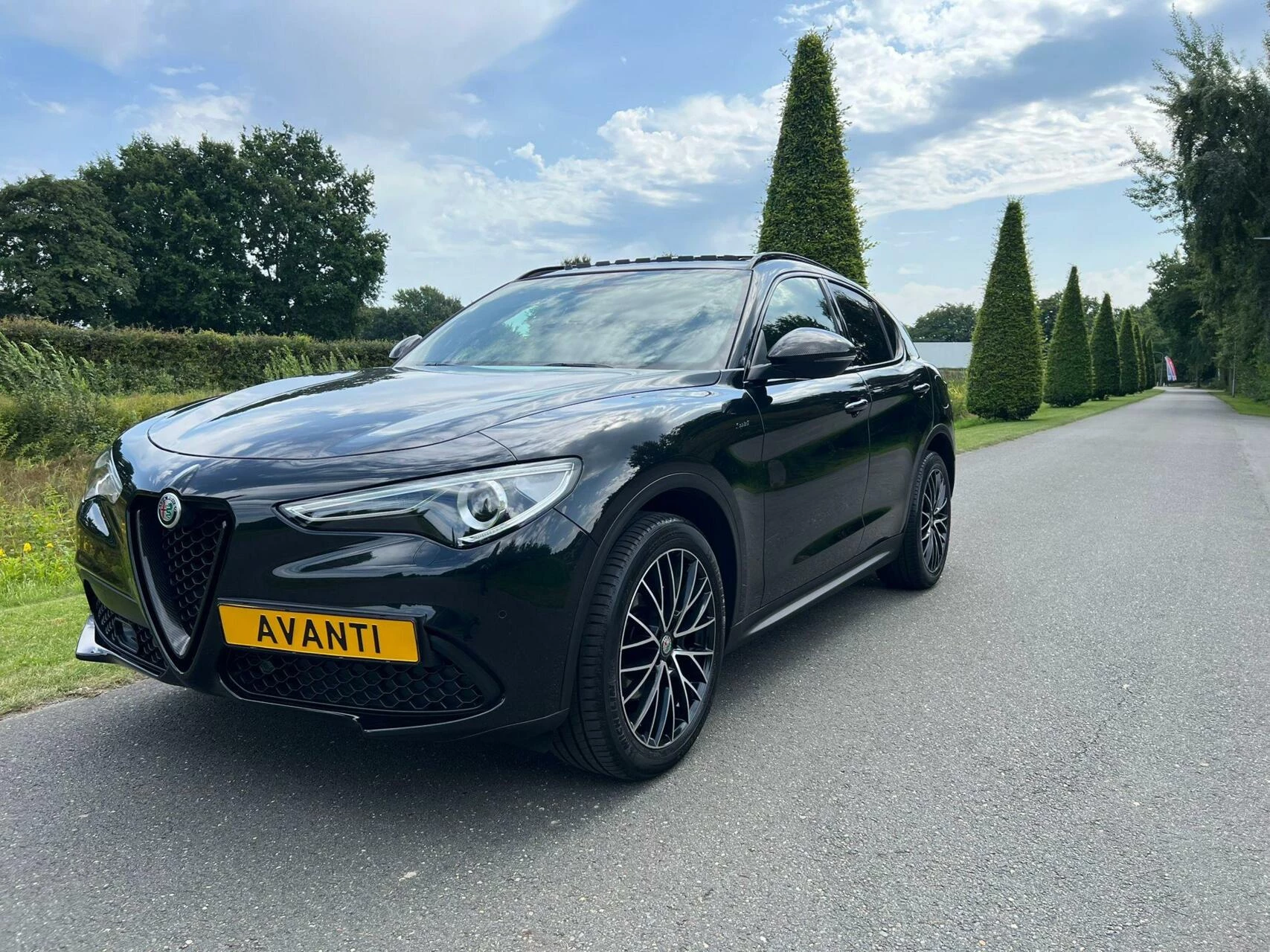 Hoofdafbeelding Alfa Romeo Stelvio