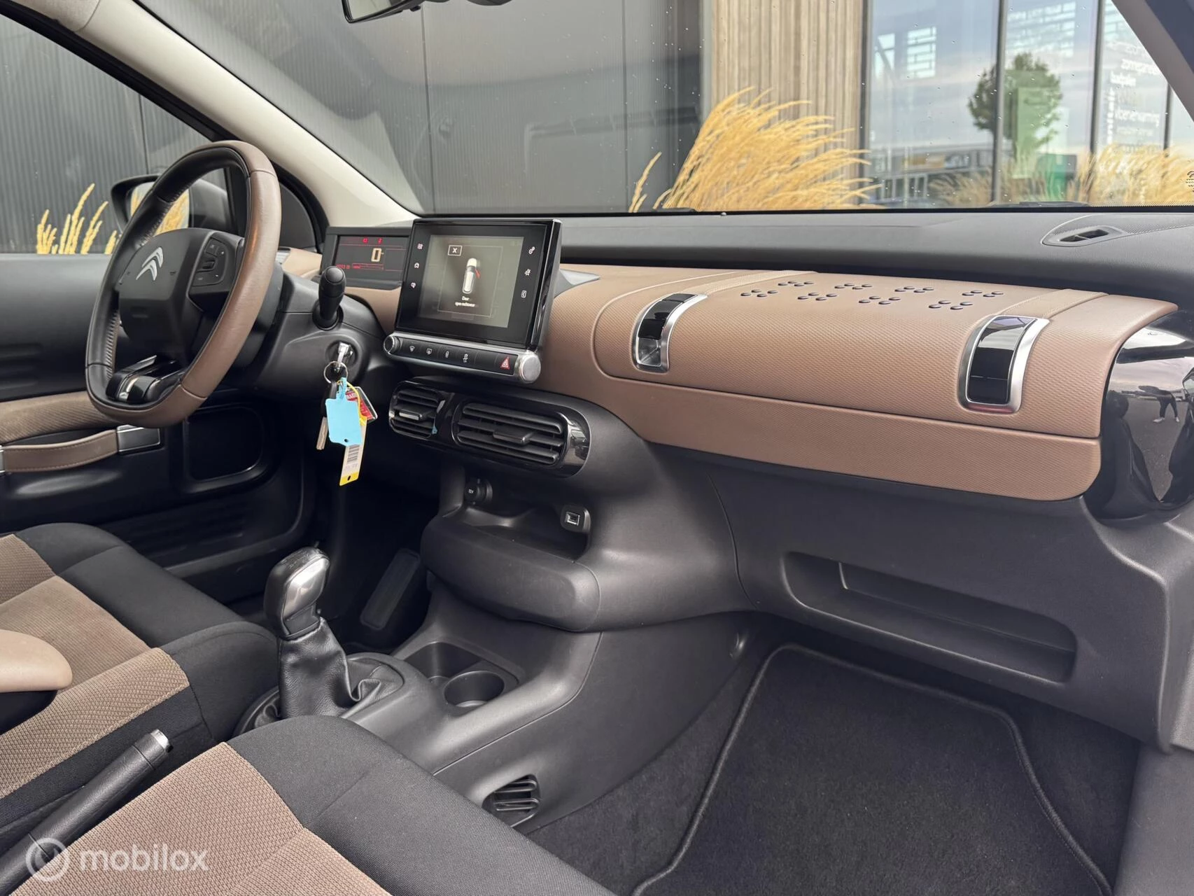 Hoofdafbeelding Citroën C4 Cactus