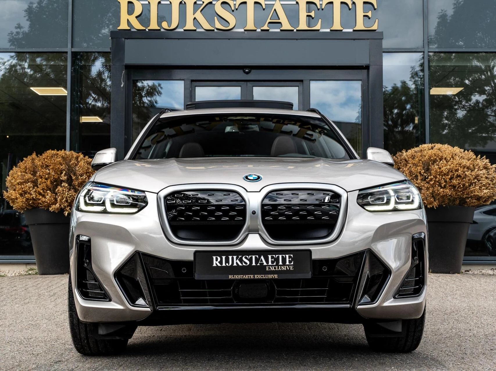 Hoofdafbeelding BMW iX3