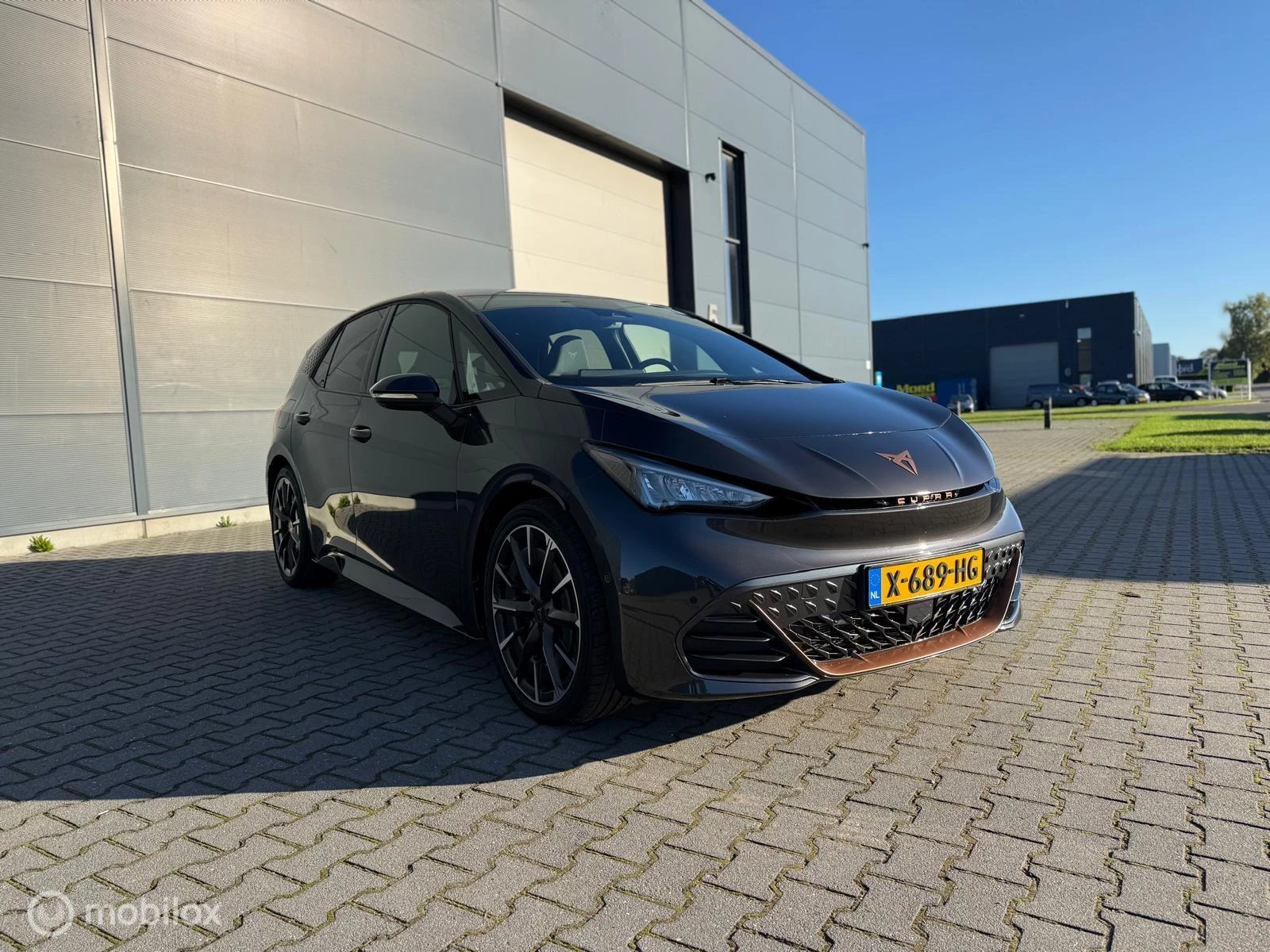 Hoofdafbeelding CUPRA Born