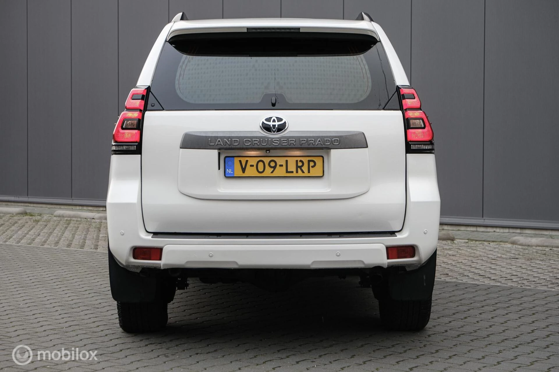 Hoofdafbeelding Toyota Land Cruiser