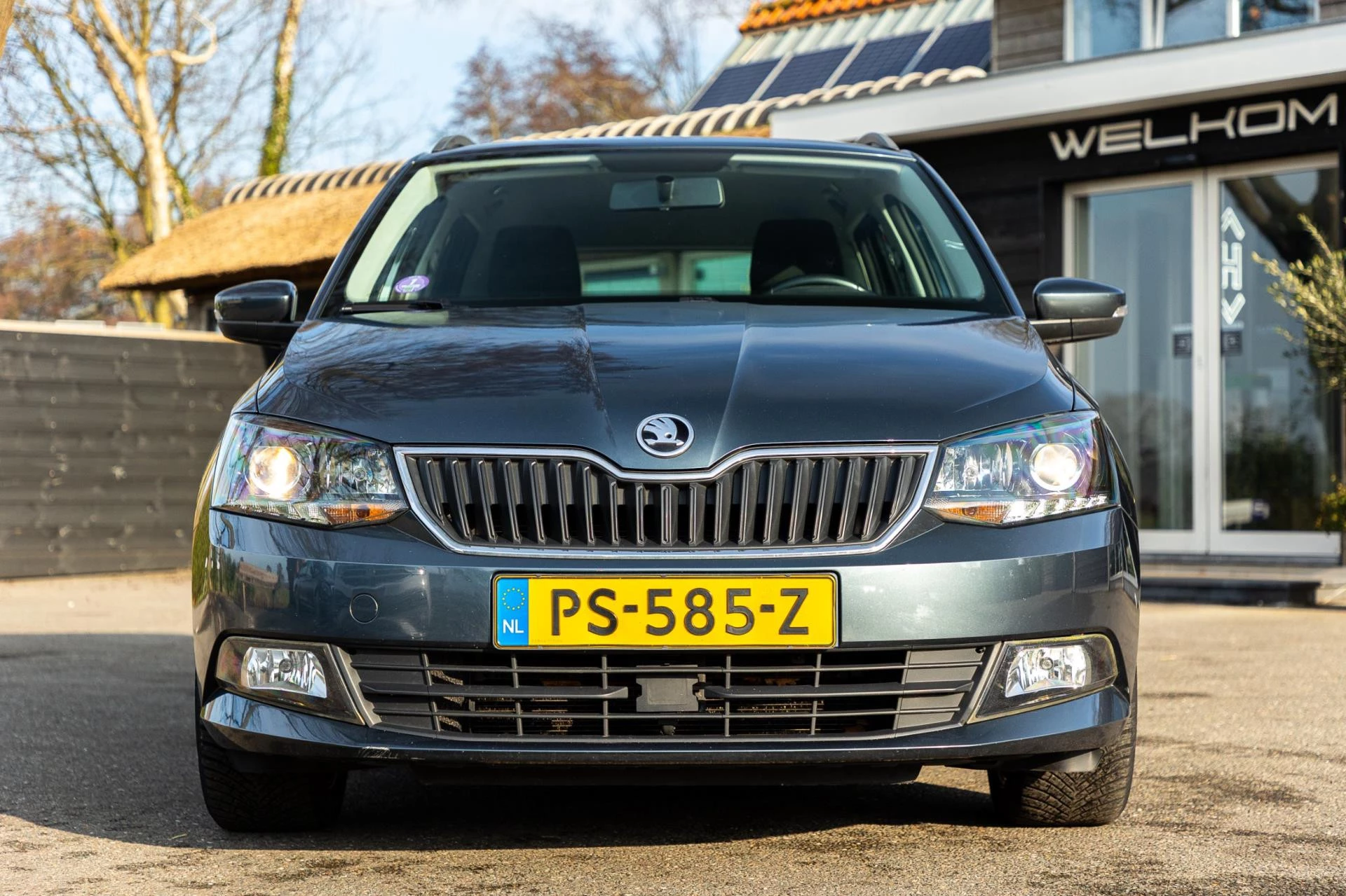 Hoofdafbeelding Škoda Fabia
