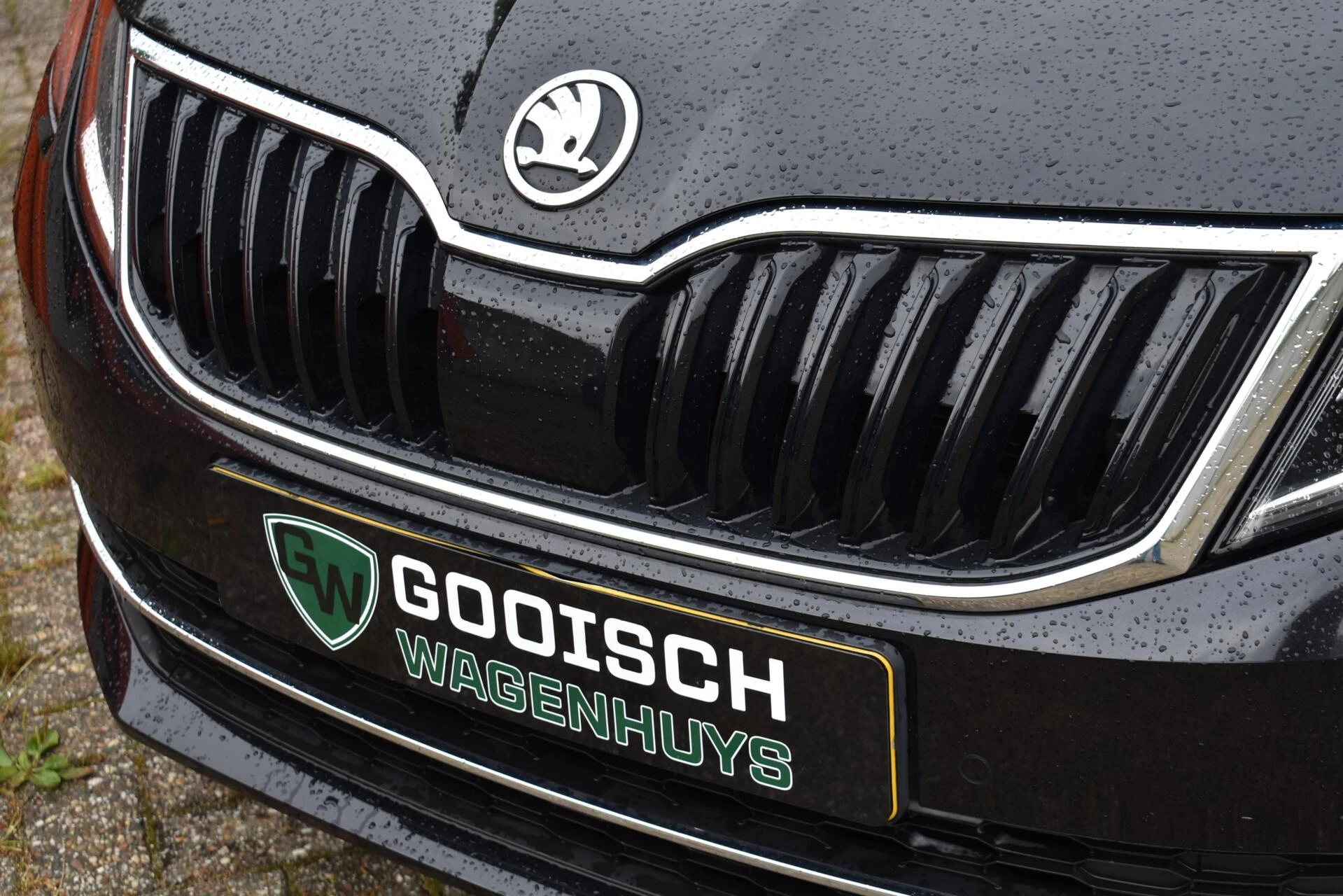 Hoofdafbeelding Škoda Octavia