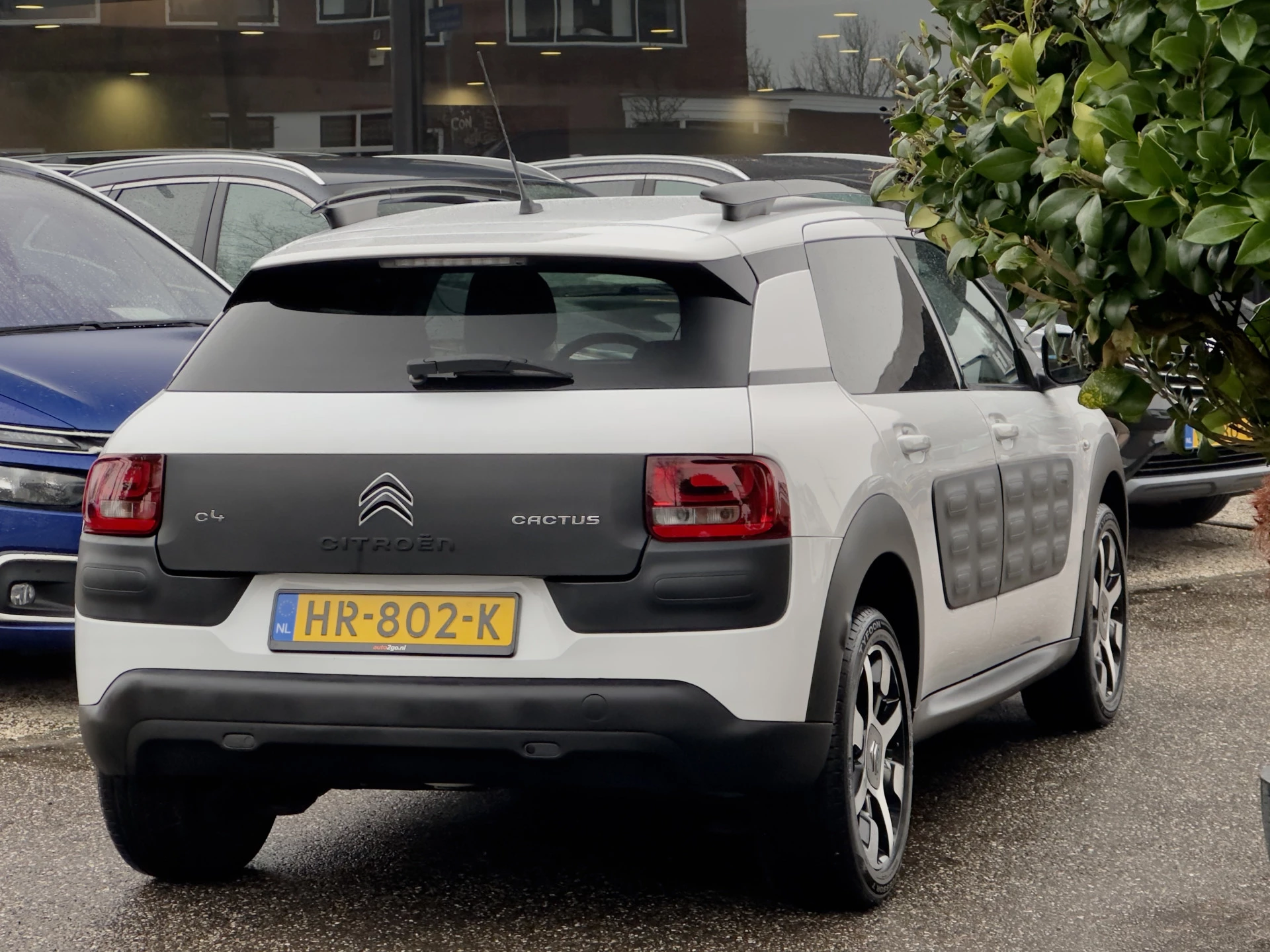 Hoofdafbeelding Citroën C4 Cactus