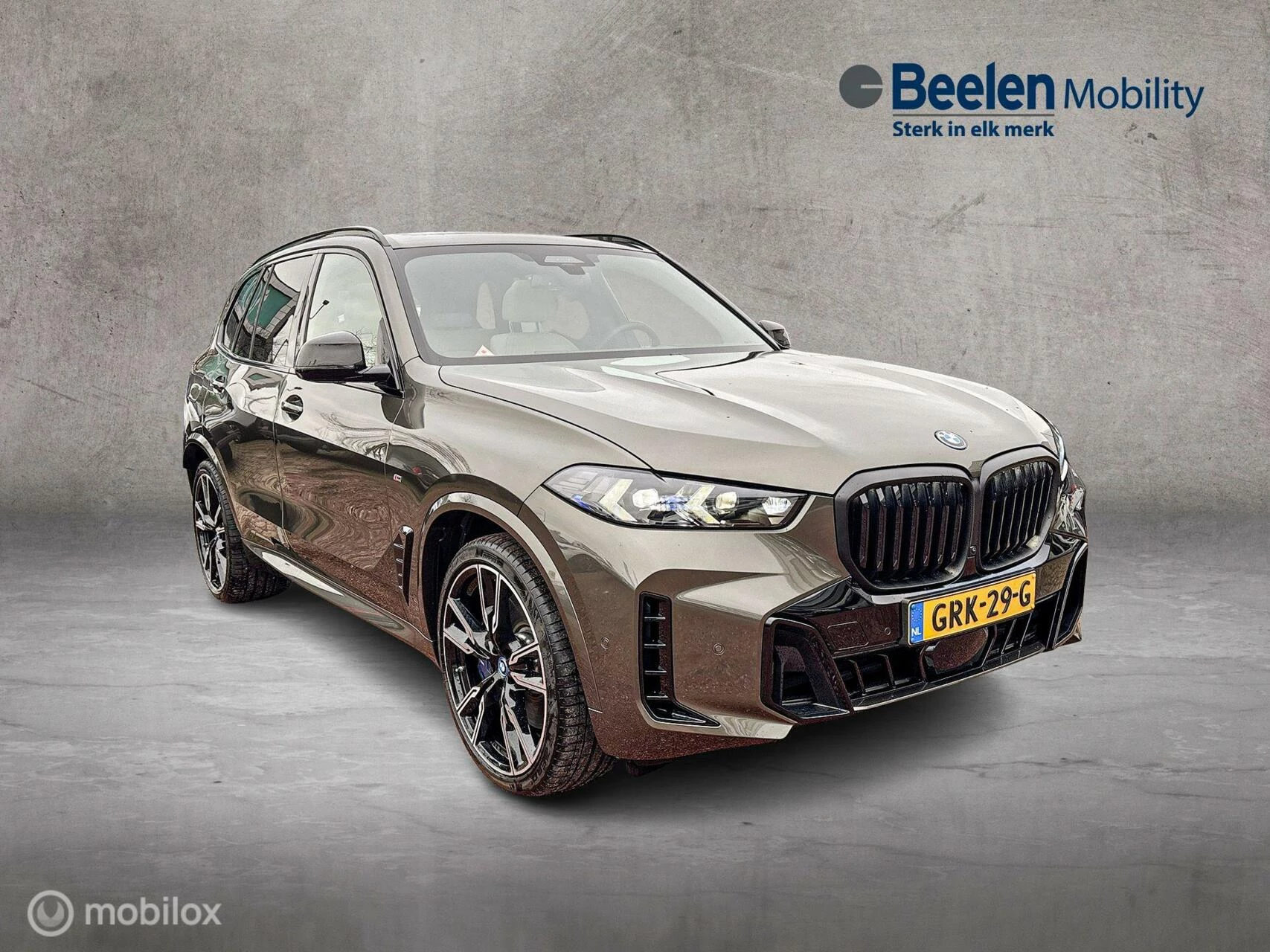 Hoofdafbeelding BMW X5