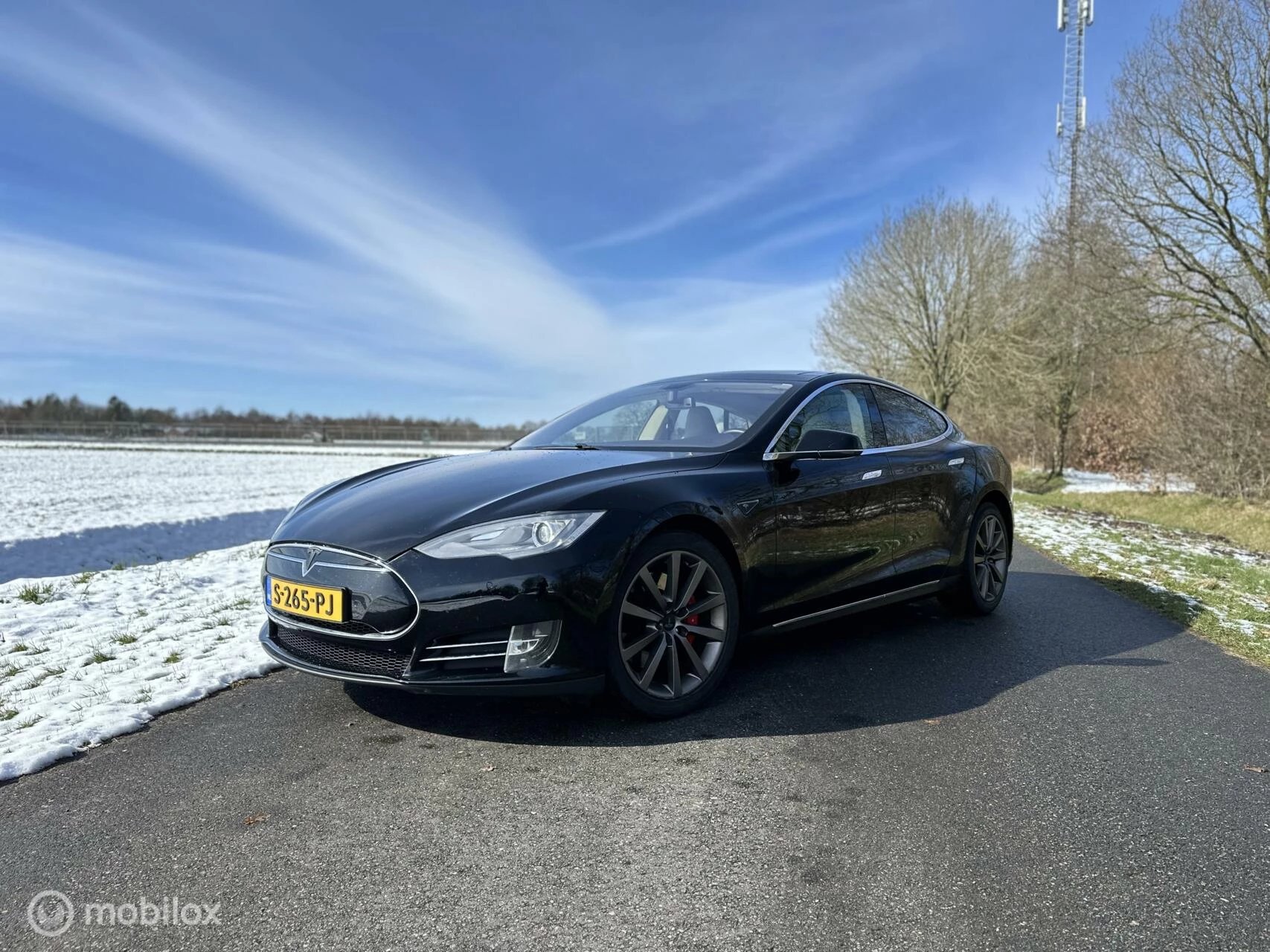 Hoofdafbeelding Tesla Model S