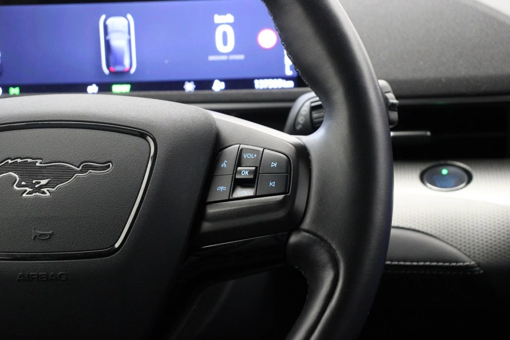 Hoofdafbeelding Ford Mustang Mach-E