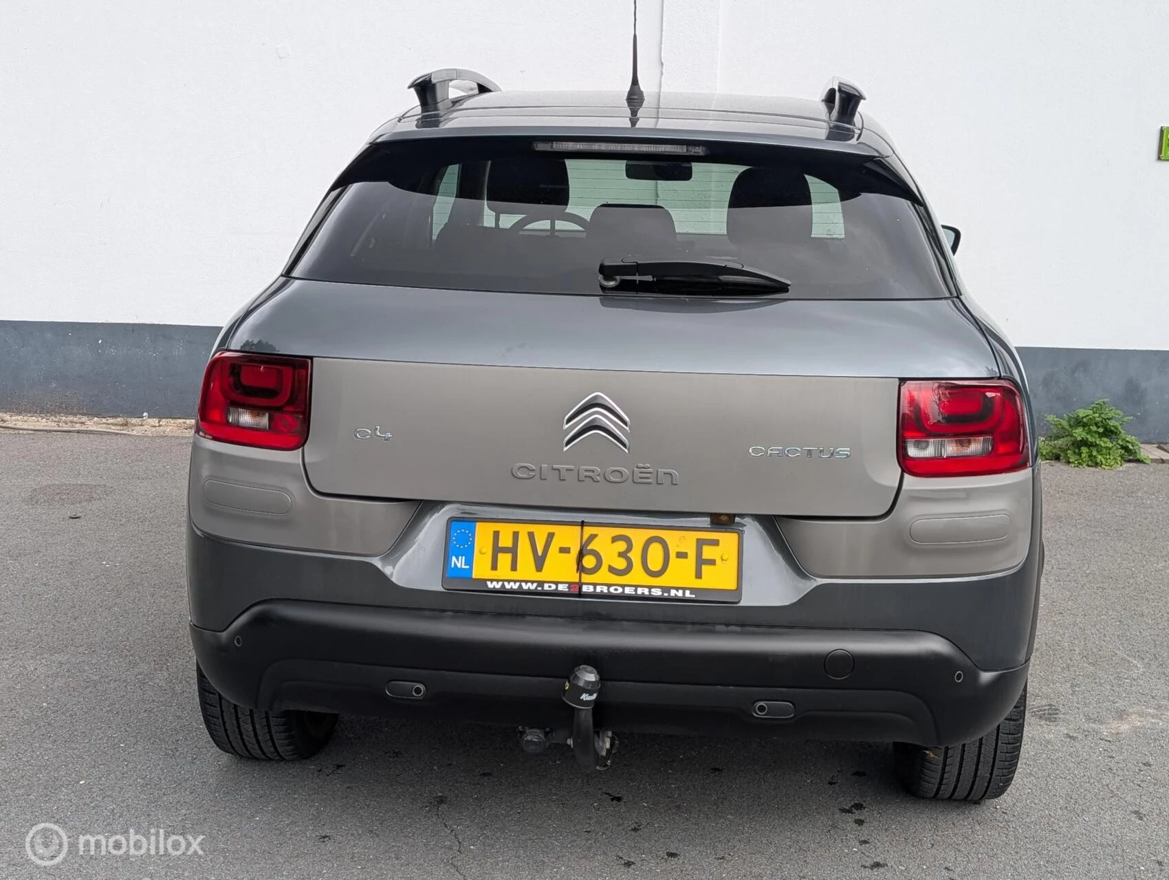 Hoofdafbeelding Citroën C4 Cactus
