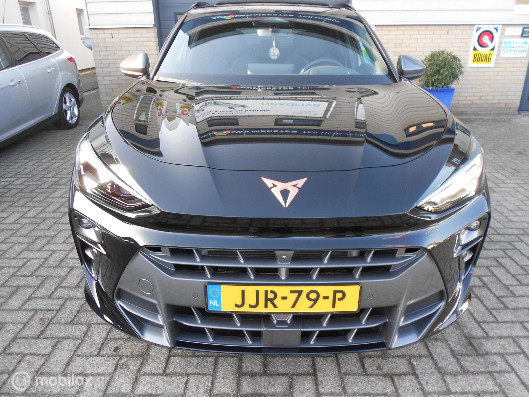 Hoofdafbeelding CUPRA Terramar