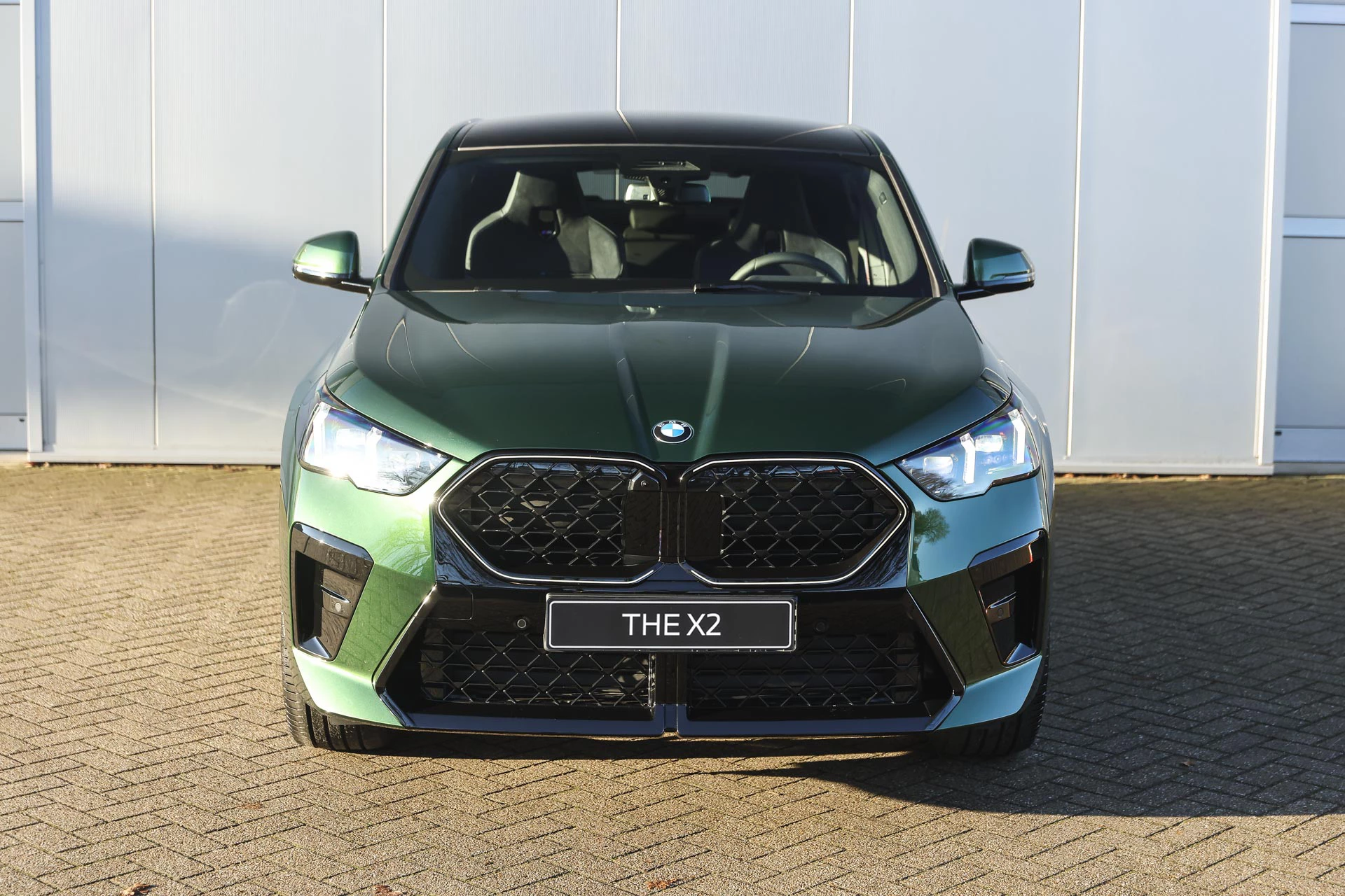 Hoofdafbeelding BMW X2