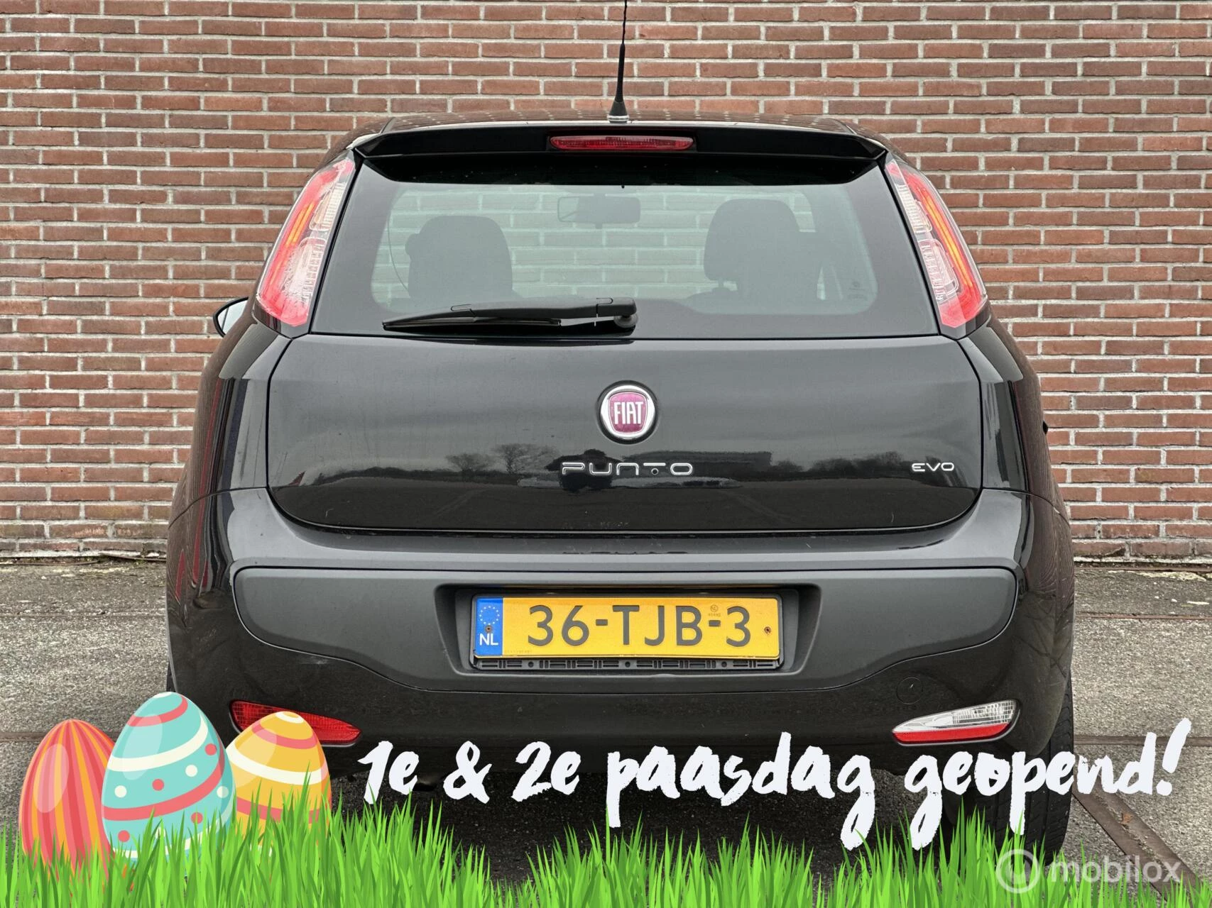 Hoofdafbeelding Fiat Punto