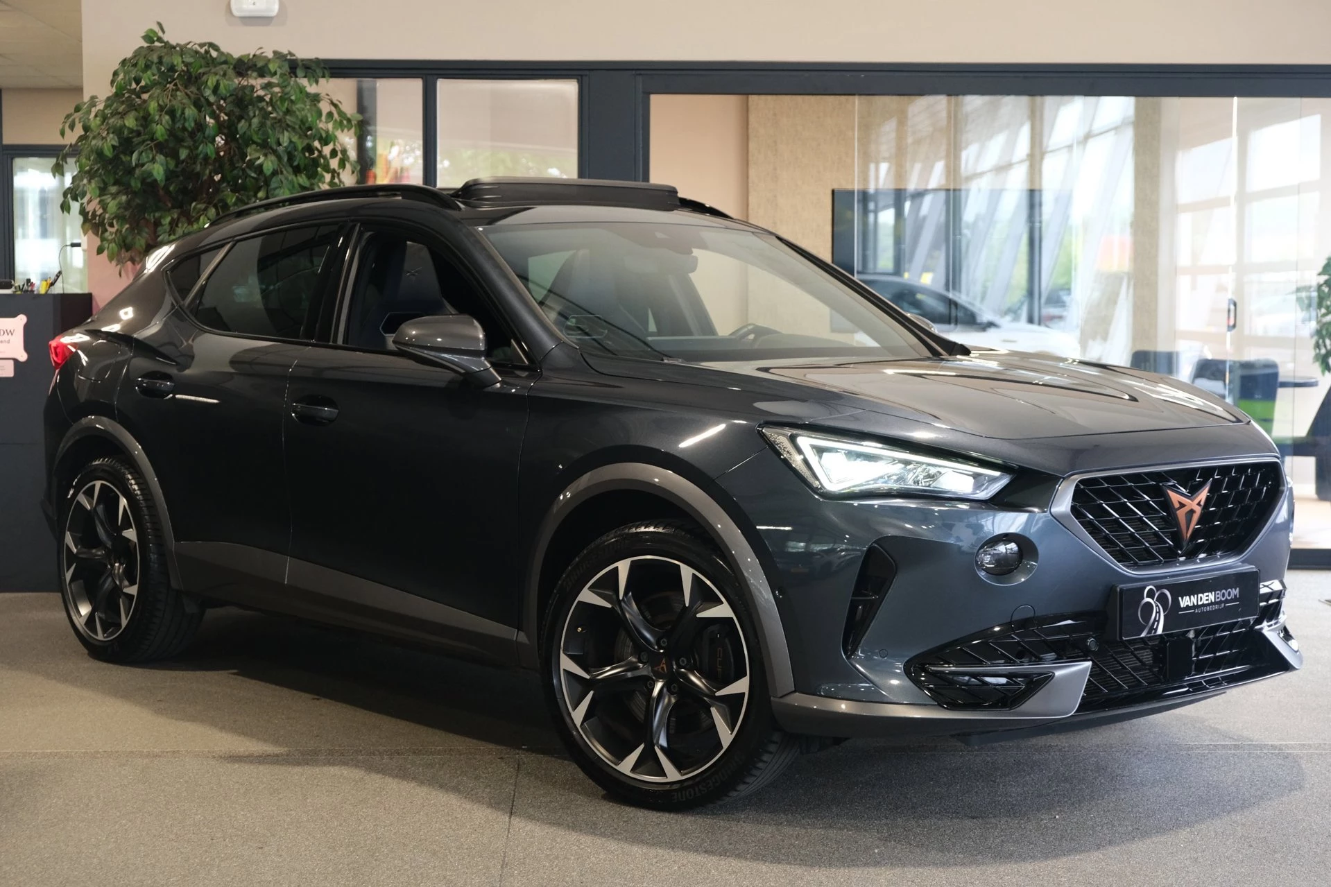 Hoofdafbeelding CUPRA Formentor
