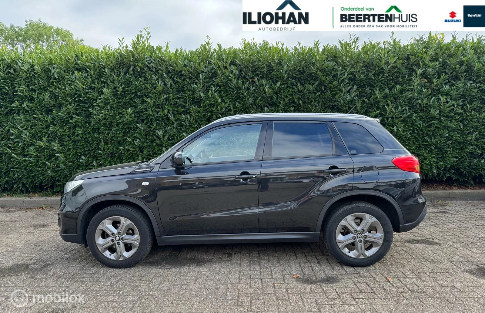 Hoofdafbeelding Suzuki Vitara