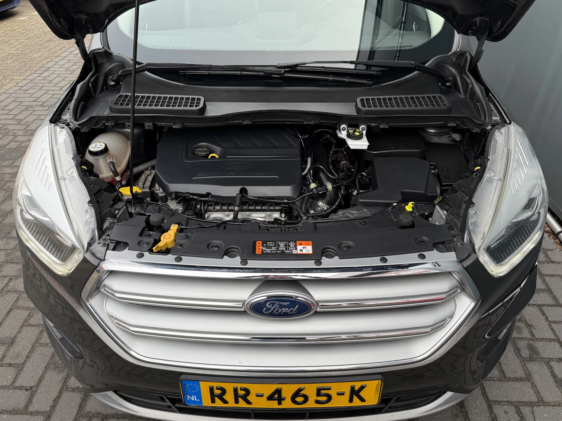 Hoofdafbeelding Ford Kuga