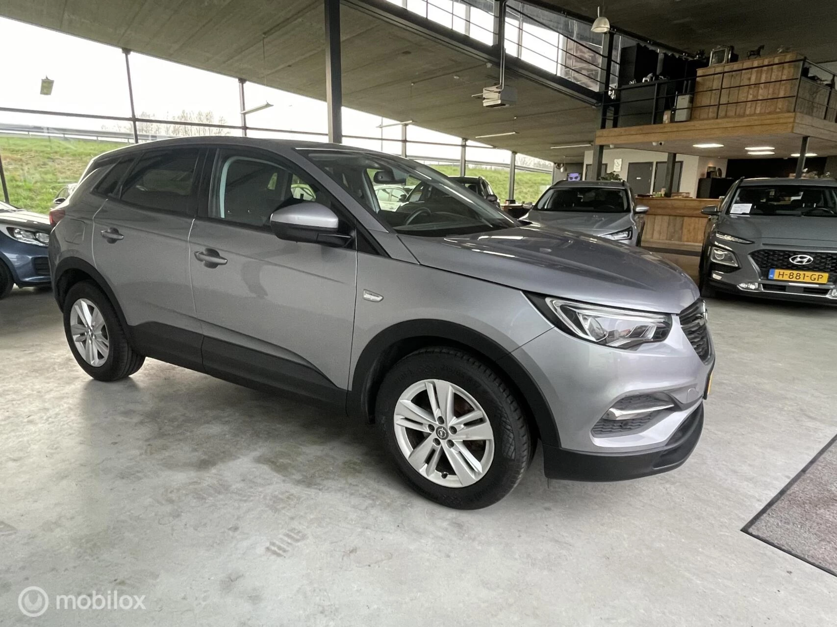 Hoofdafbeelding Opel Grandland X