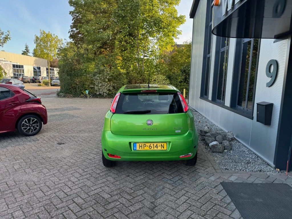 Hoofdafbeelding Fiat Punto