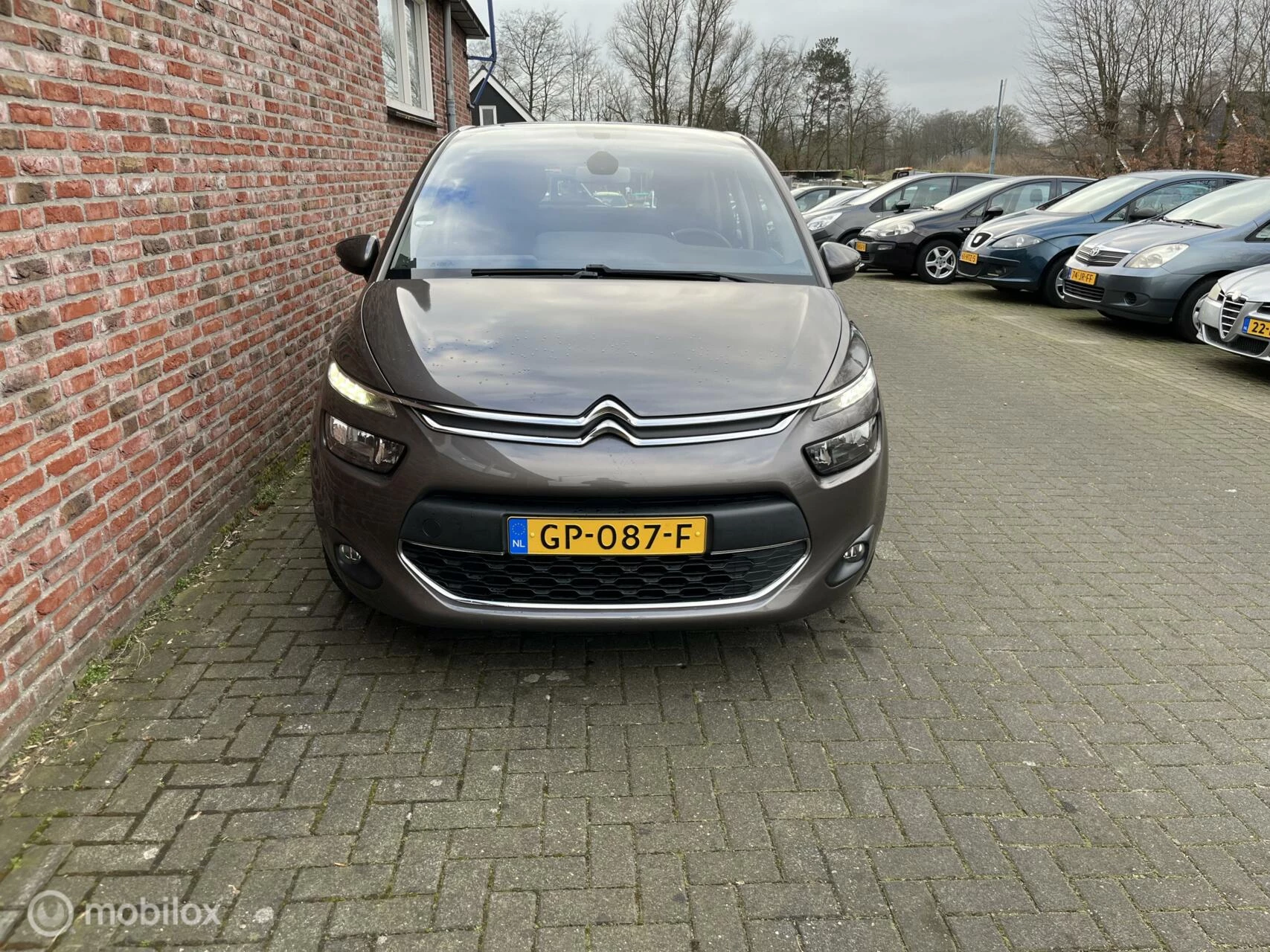 Hoofdafbeelding Citroën C4 Picasso