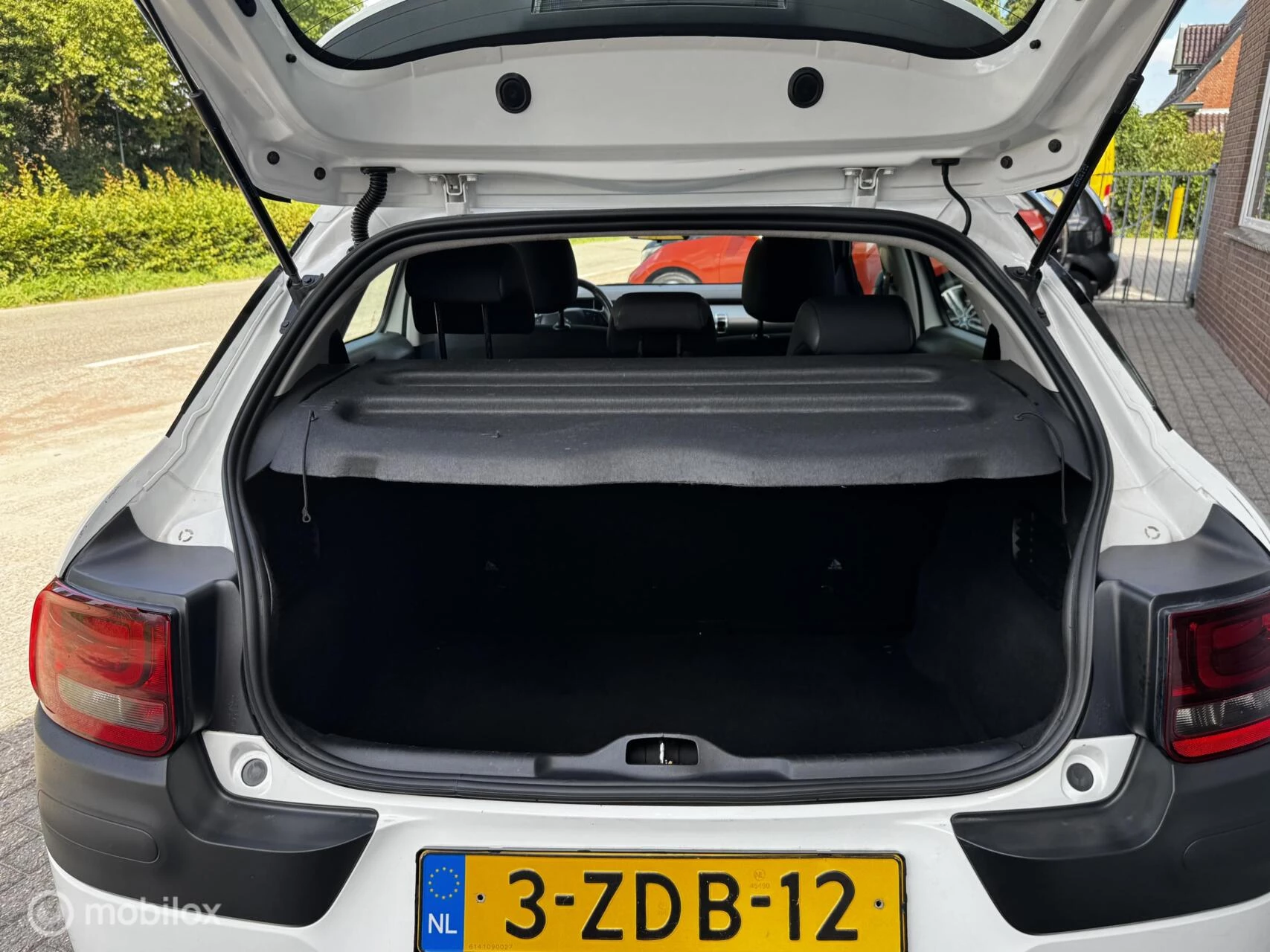 Hoofdafbeelding Citroën C4 Cactus