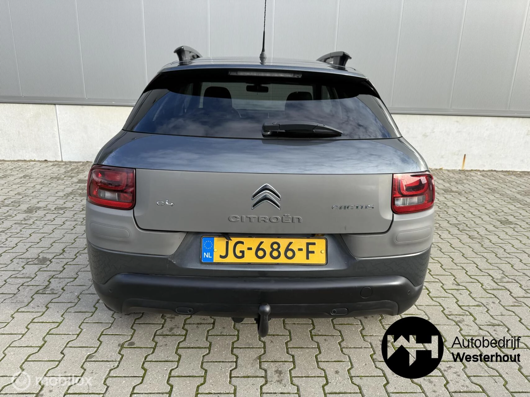 Hoofdafbeelding Citroën C4 Cactus