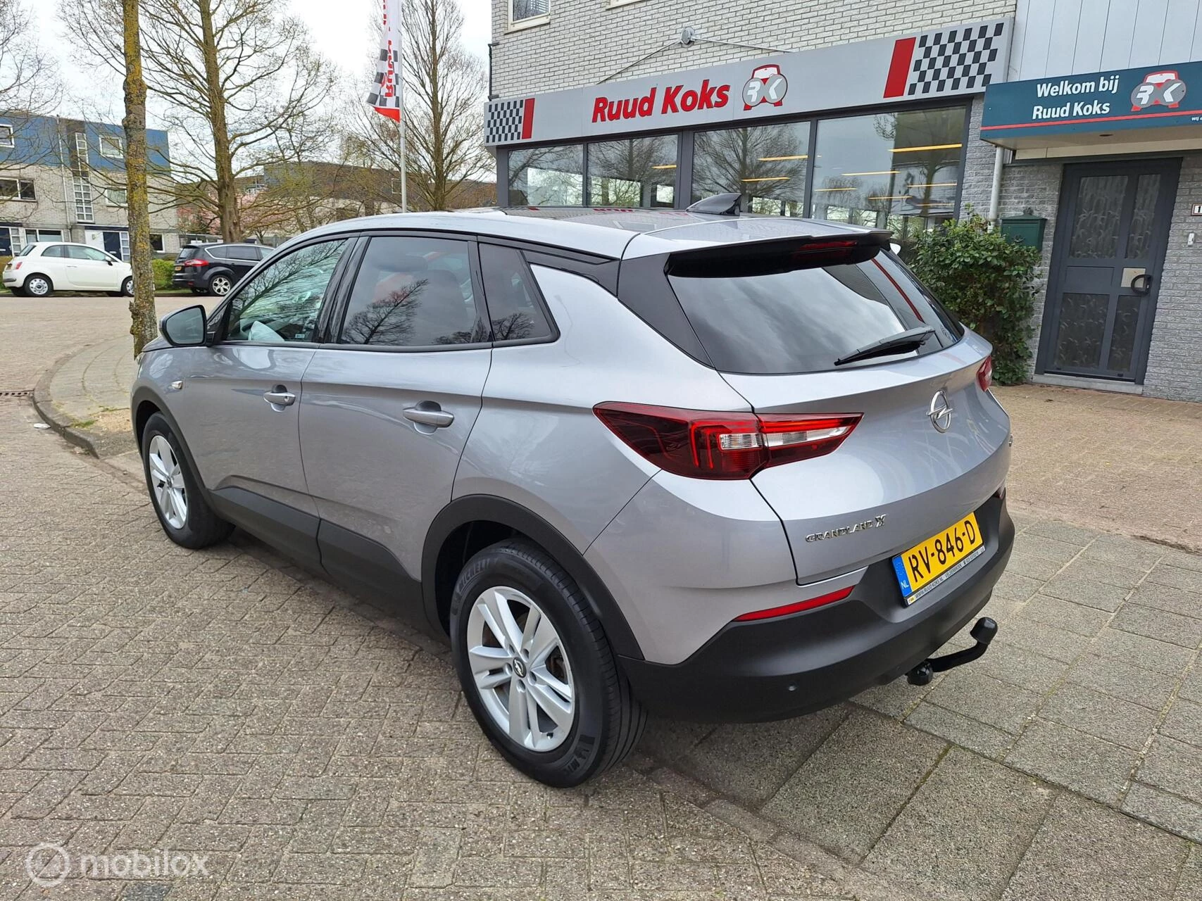 Hoofdafbeelding Opel Grandland X
