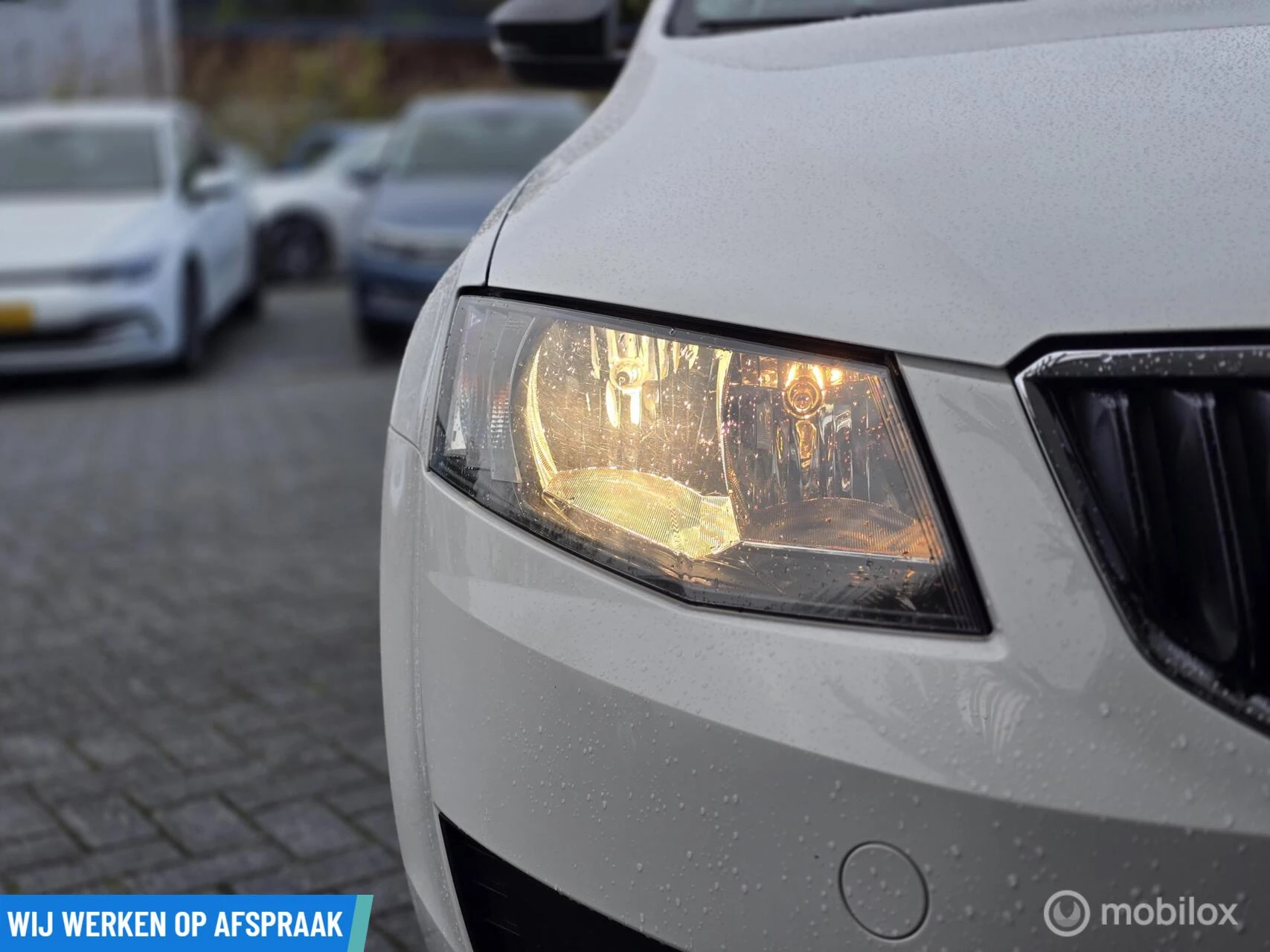 Hoofdafbeelding Škoda Octavia