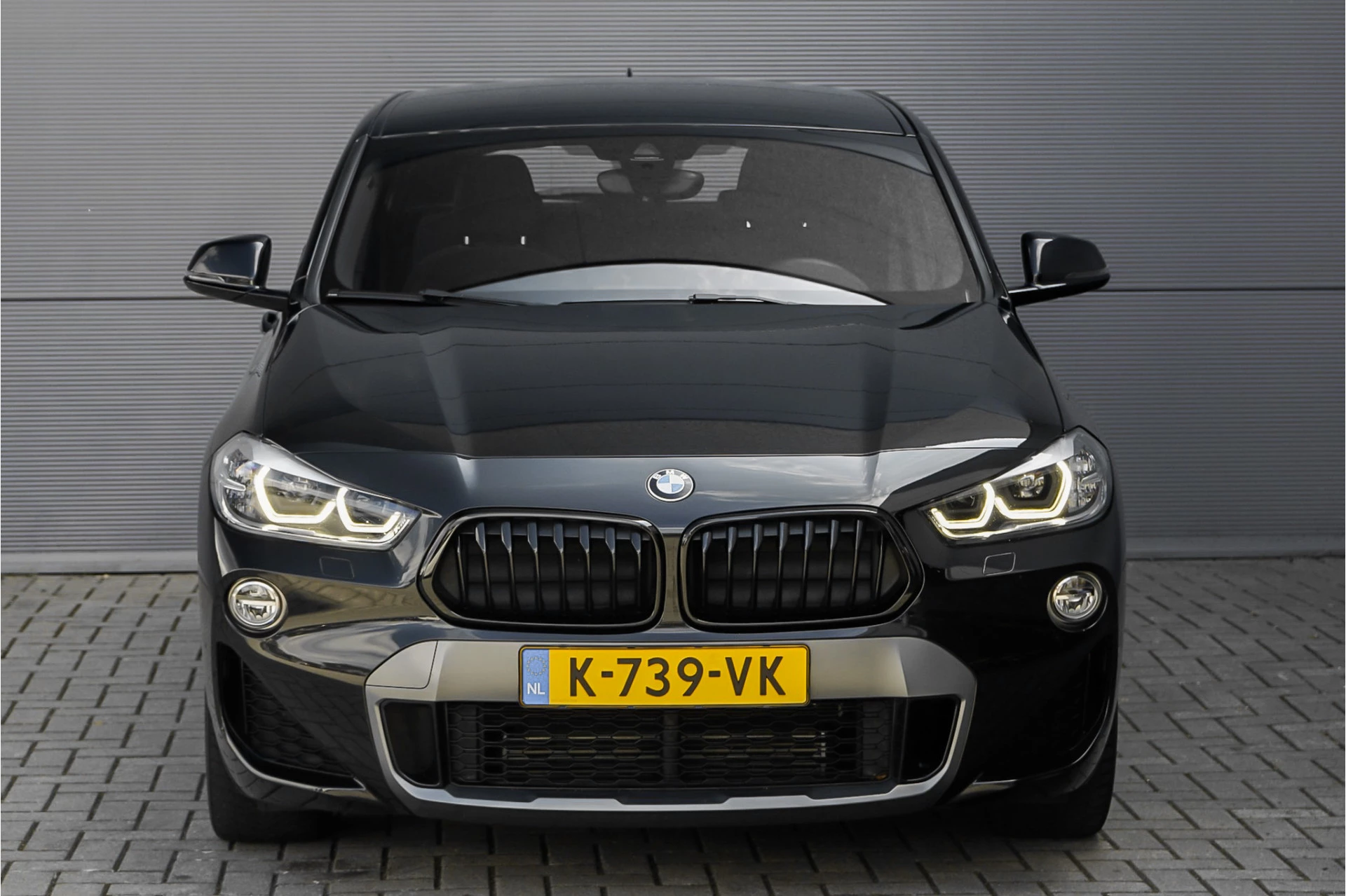 Hoofdafbeelding BMW X2