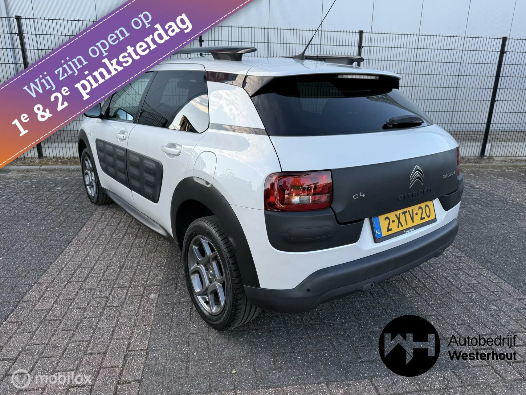 Hoofdafbeelding Citroën C4 Cactus