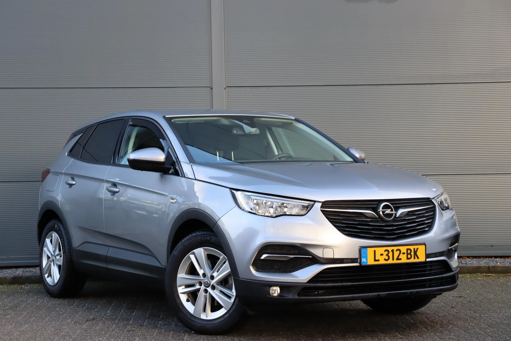 Hoofdafbeelding Opel Grandland X